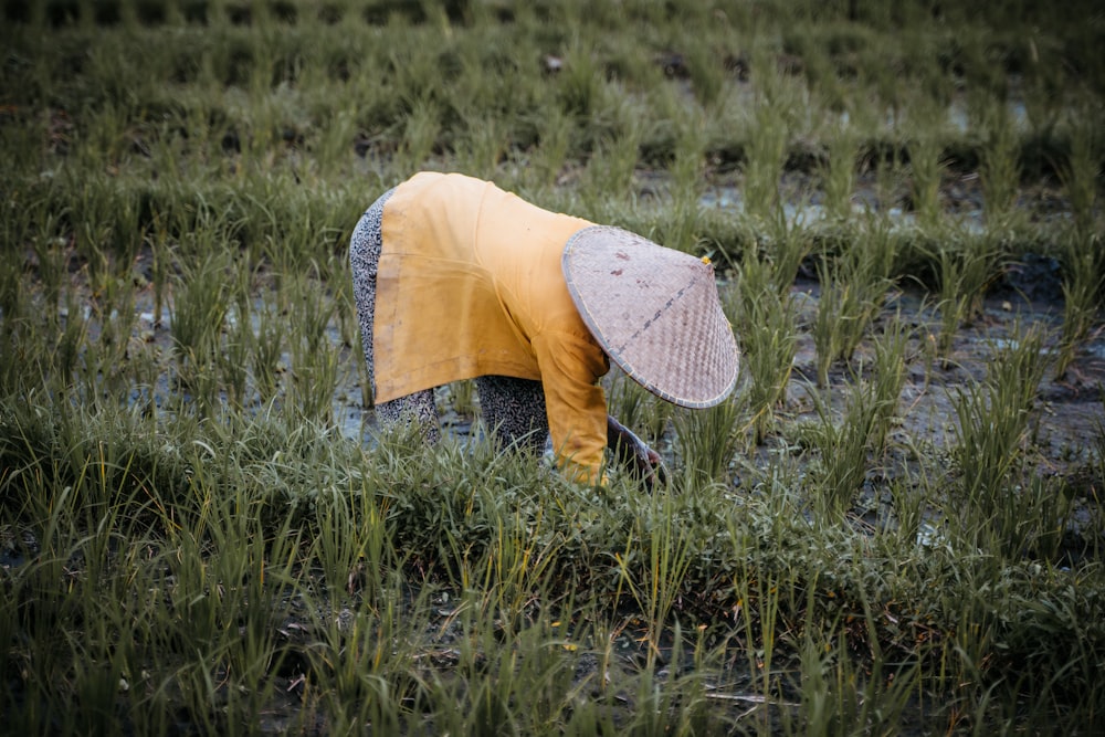 a person in a field with an umbrella