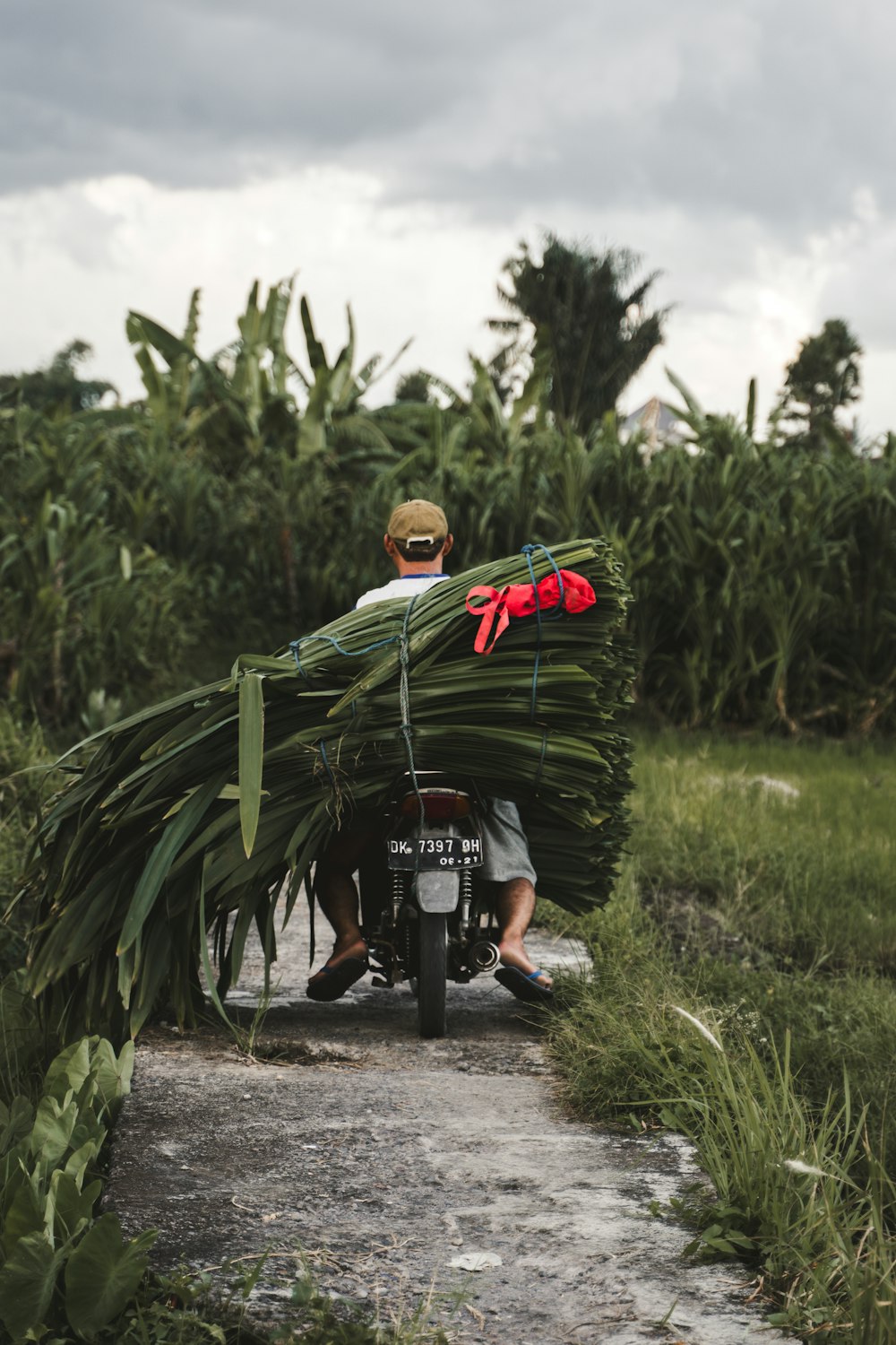 a man on a motorcycle carrying a large bundle of leaves