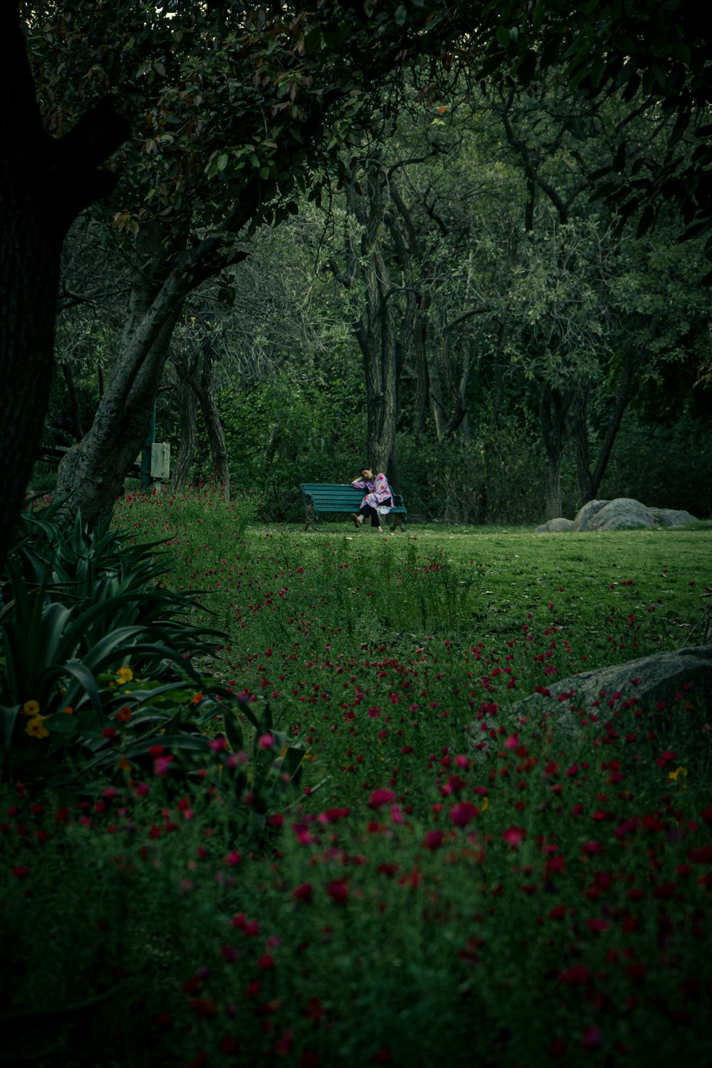 two people sitting on a bench in a park