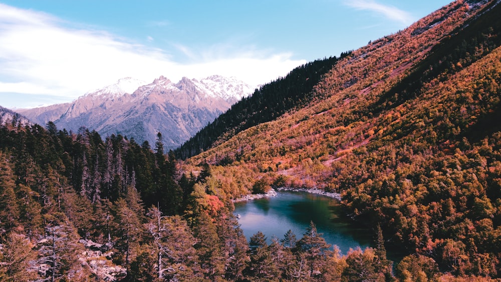 a lake in the middle of a forest with mountains in the background