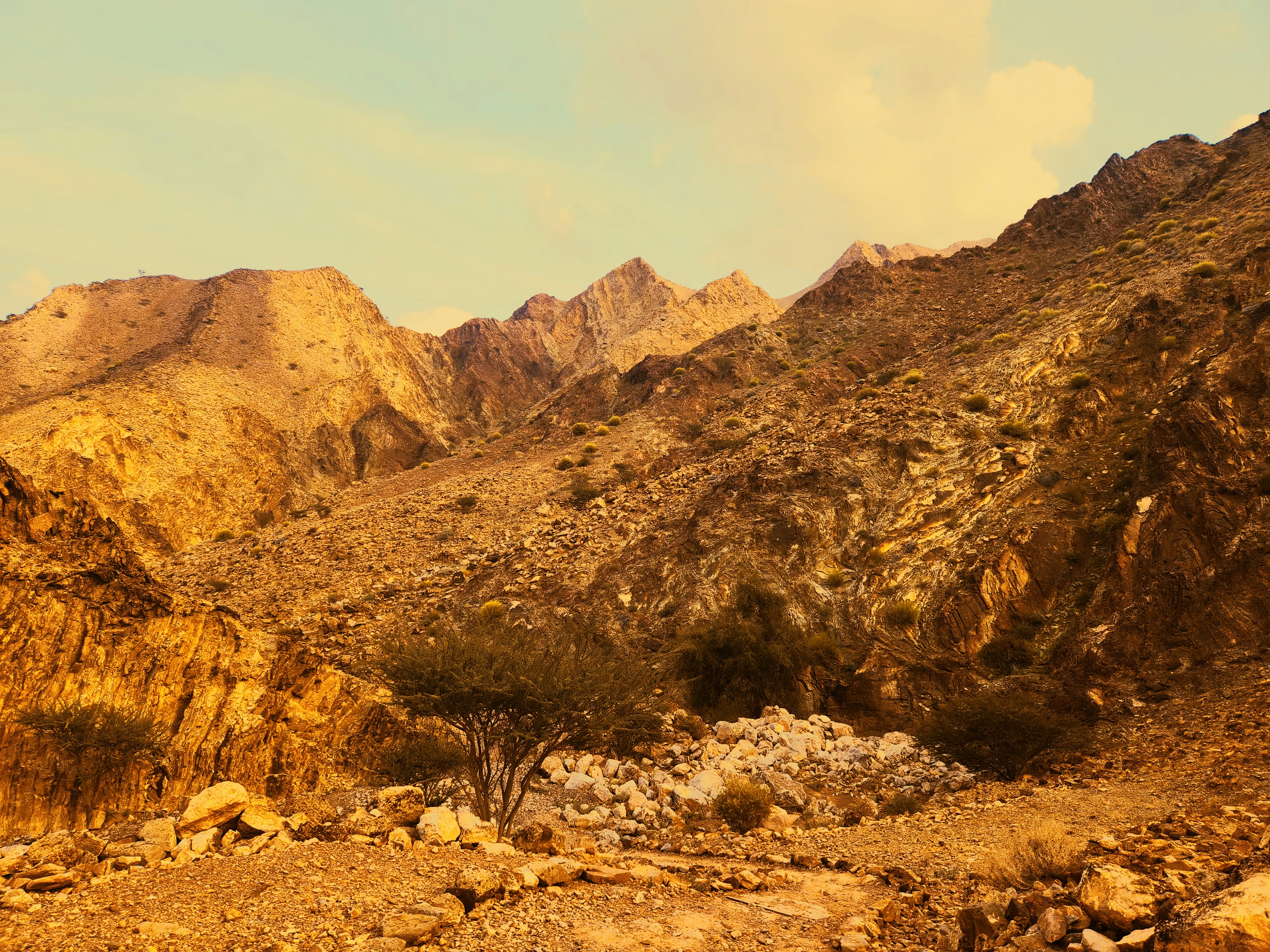 Photo by your_scorpion