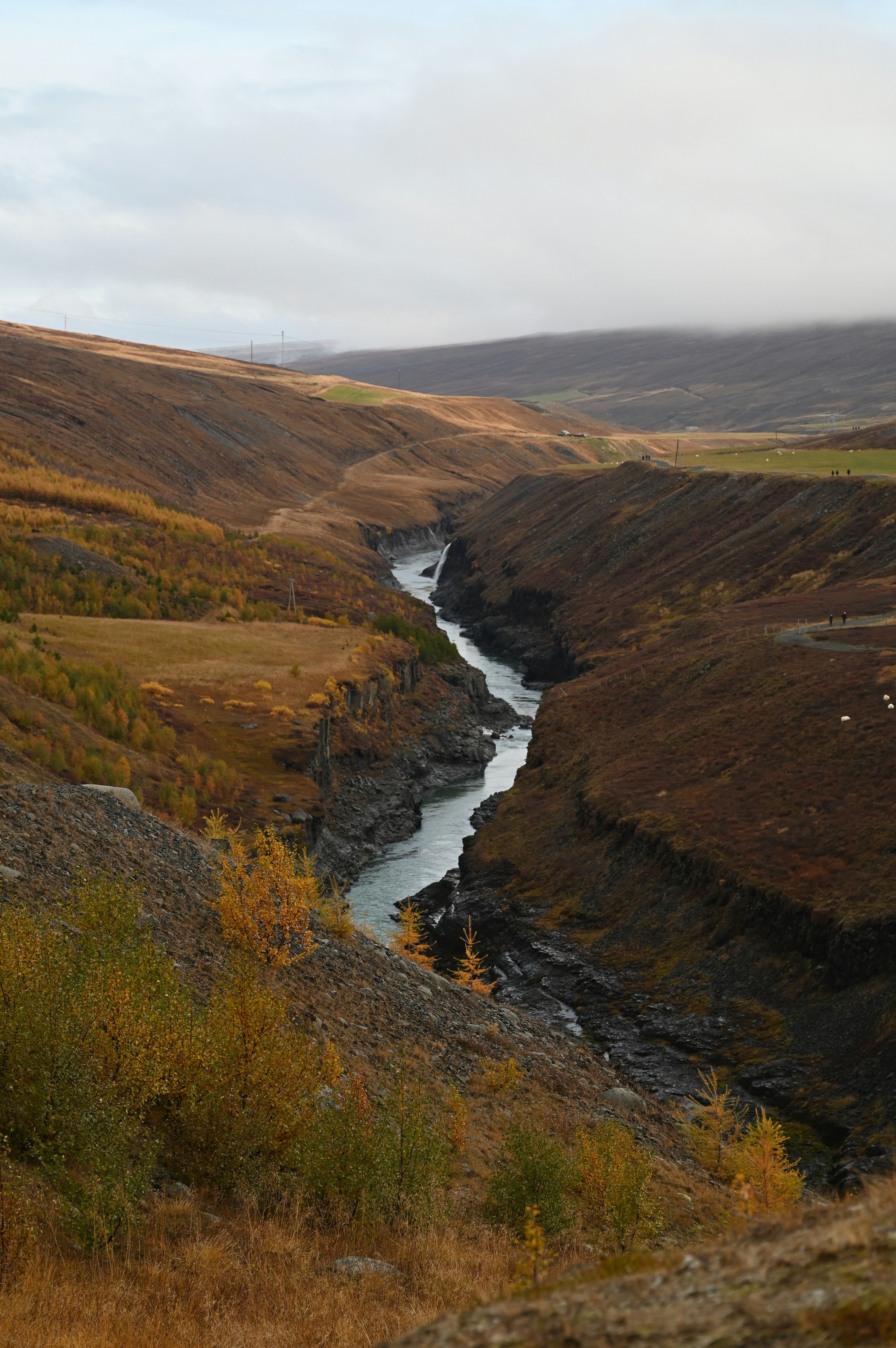 ein Fluss, der durch einen üppig grünen Hügel fließt