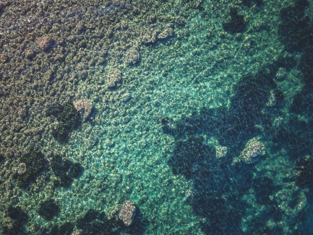 an aerial view of a body of water