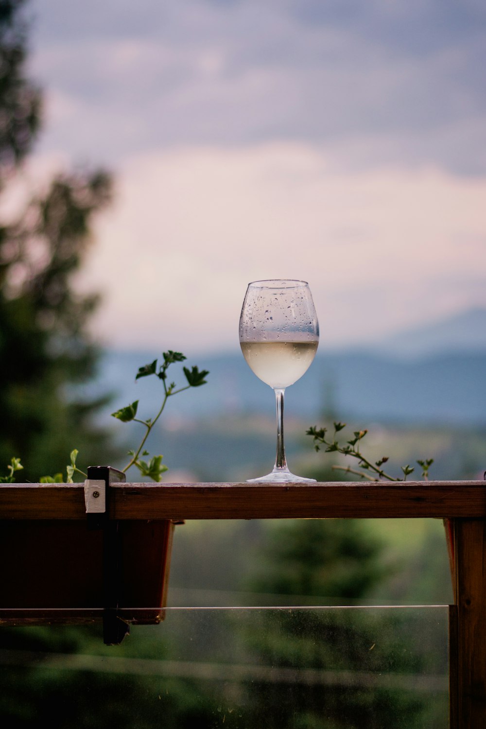 a glass of wine sitting on top of a wooden table