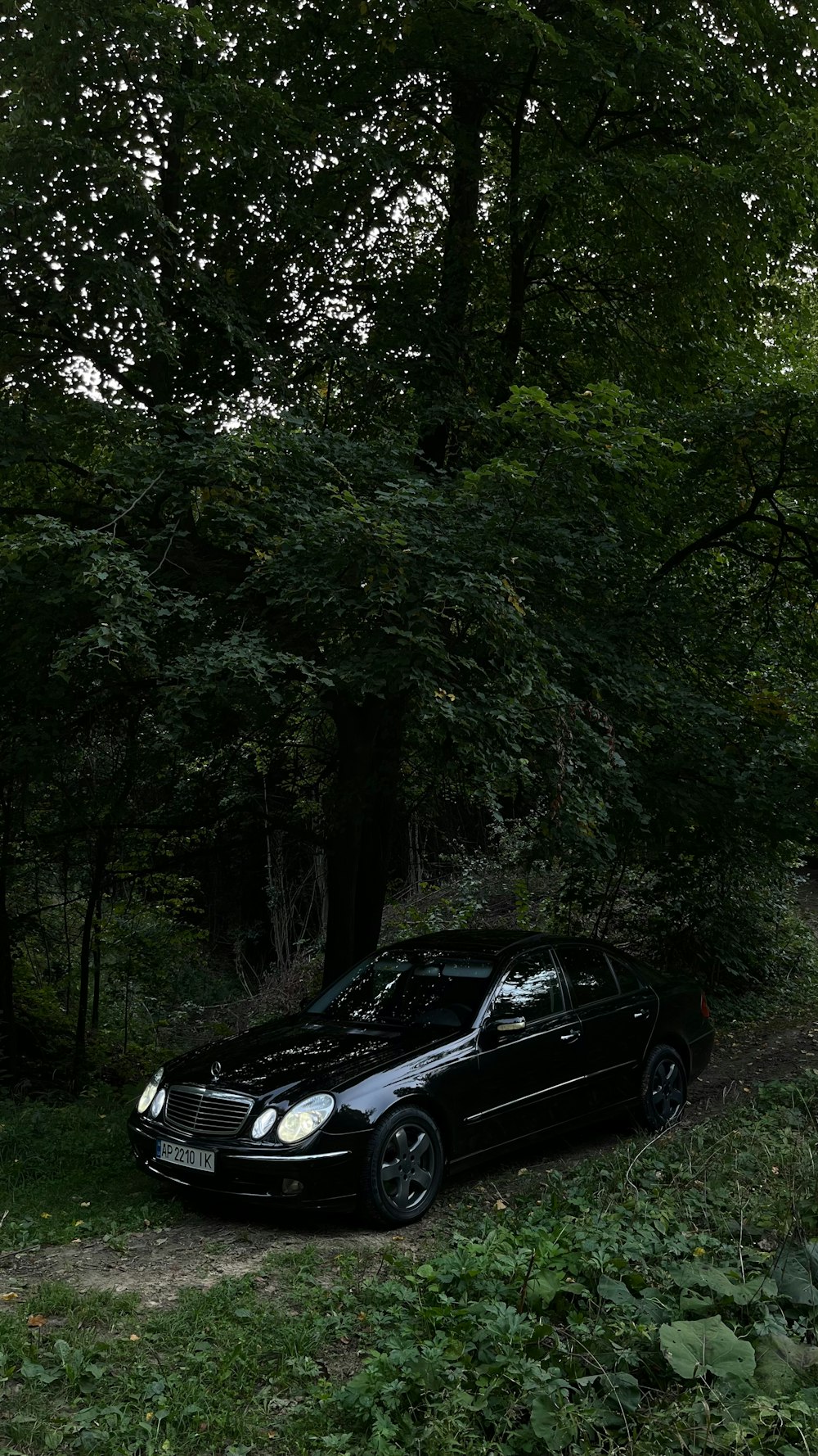 a black car parked in a wooded area