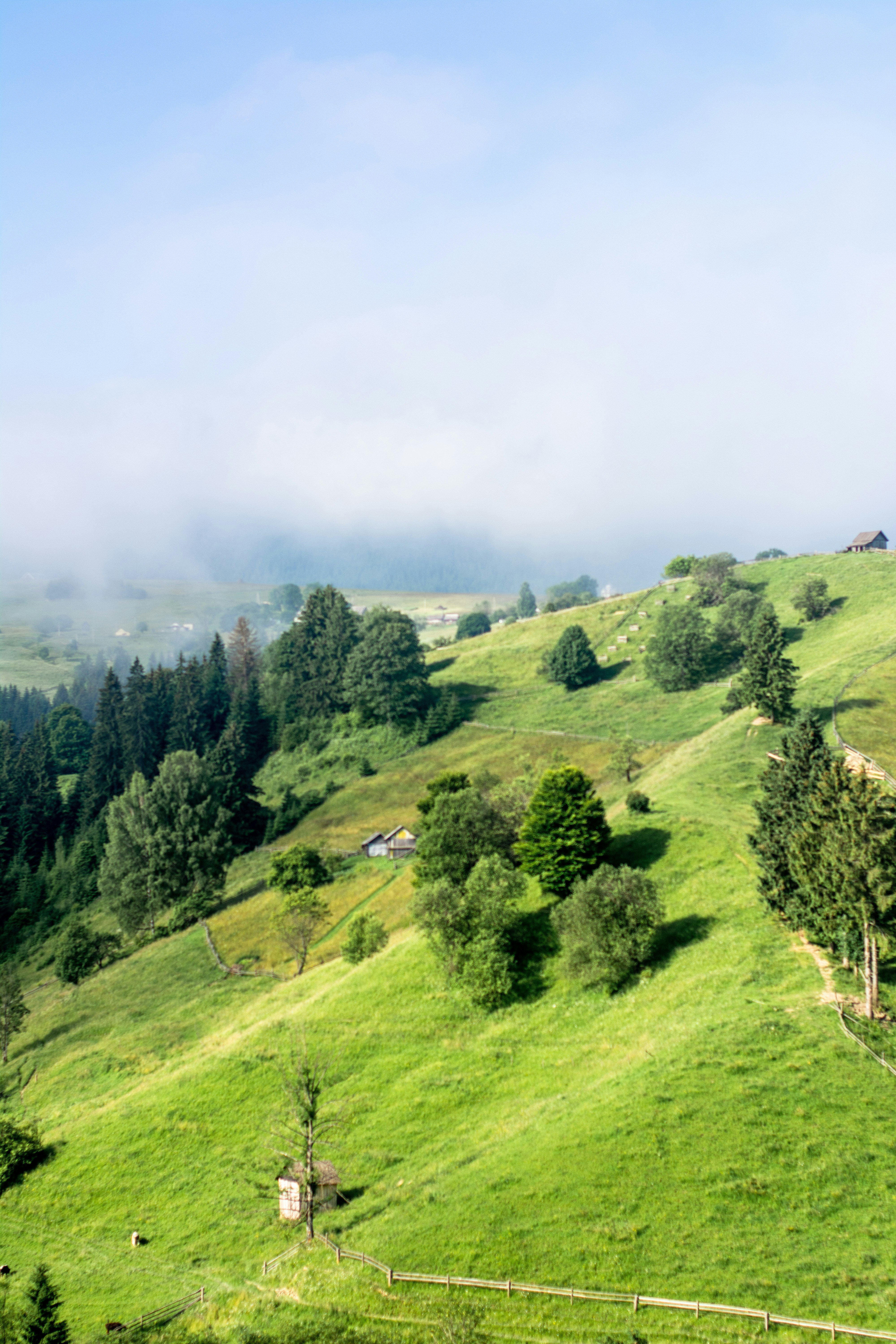 Photo by eugenivy_now