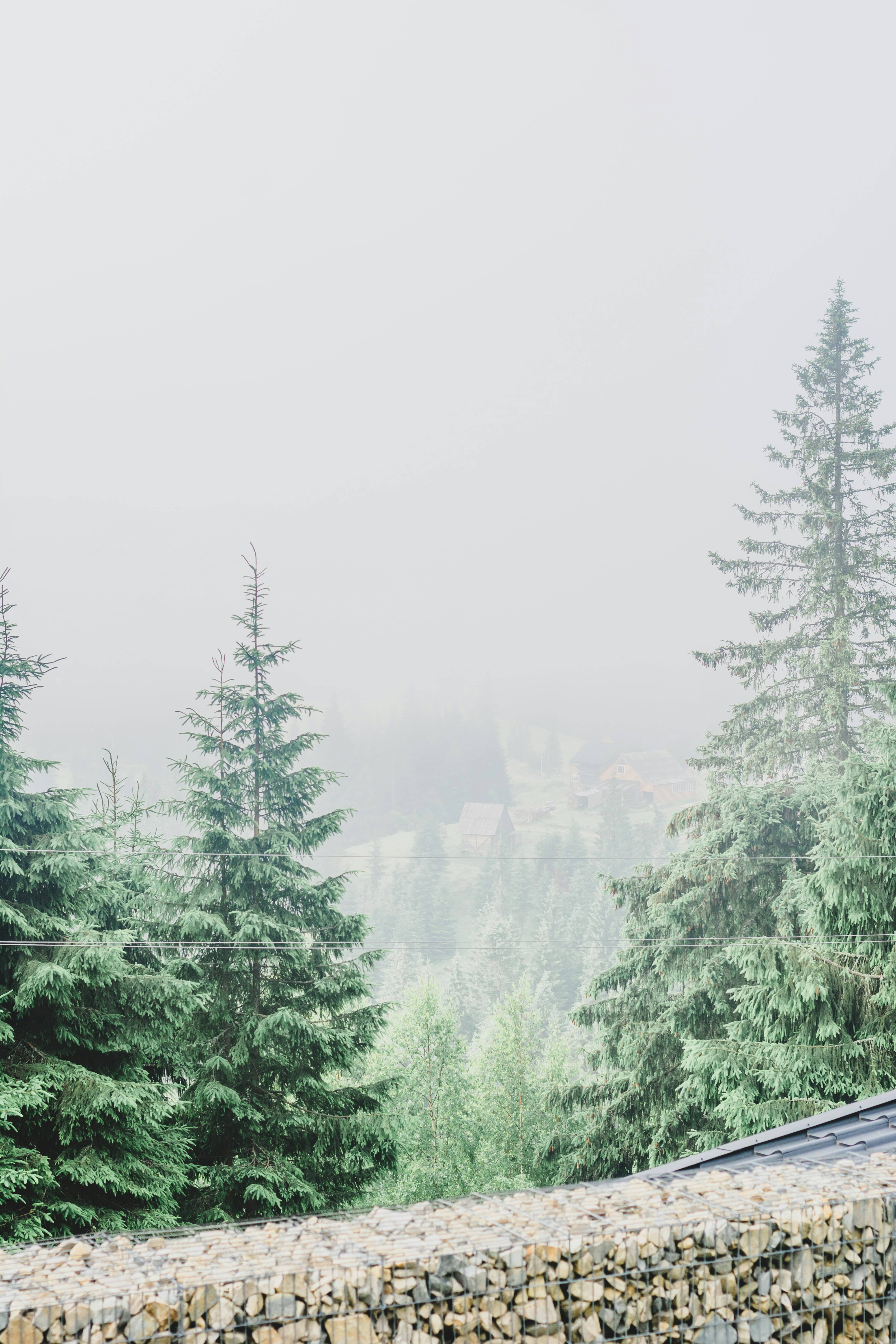 Photo by eugenivy_now