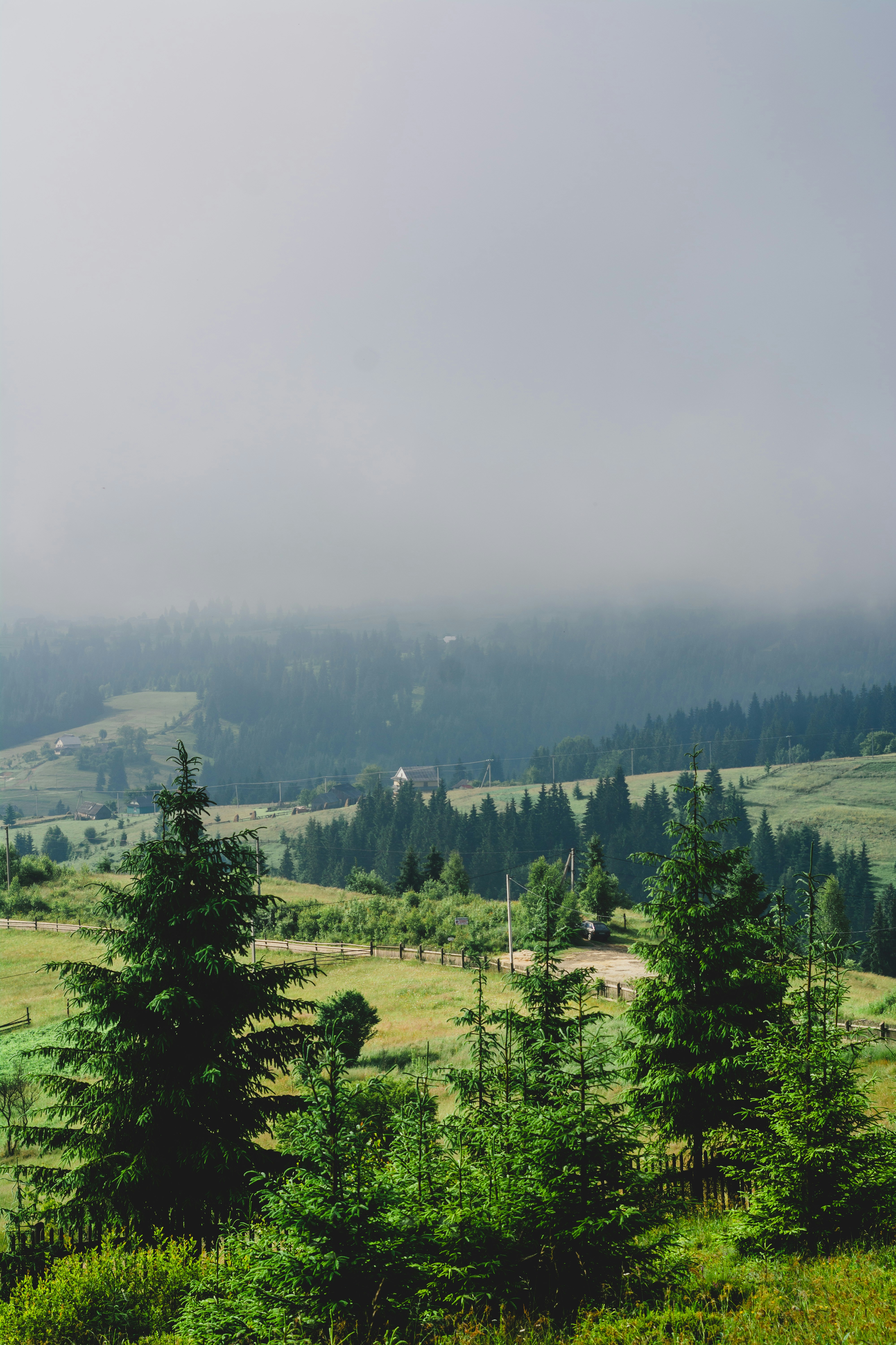 Photo by eugenivy_now