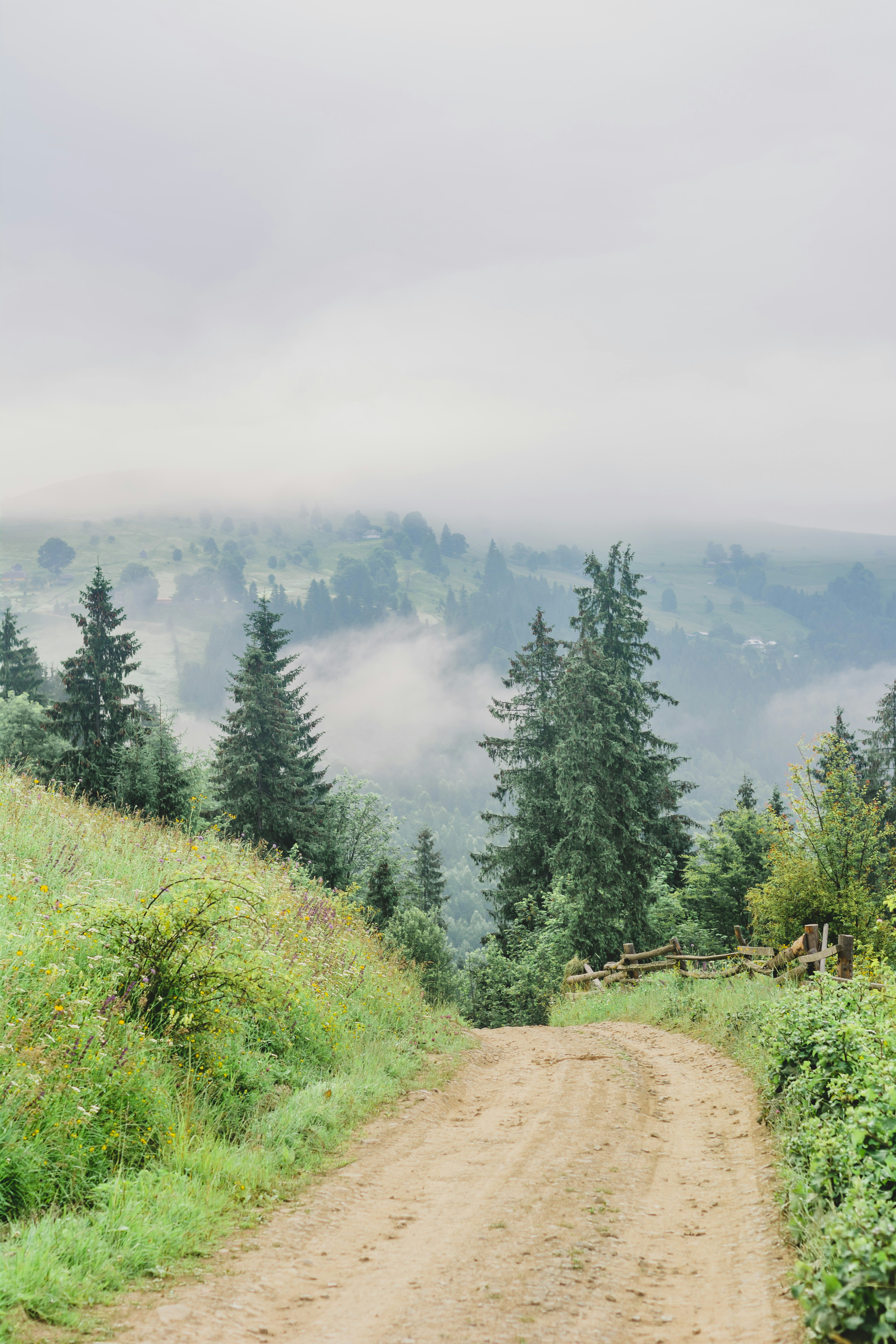 Photo by eugenivy_now