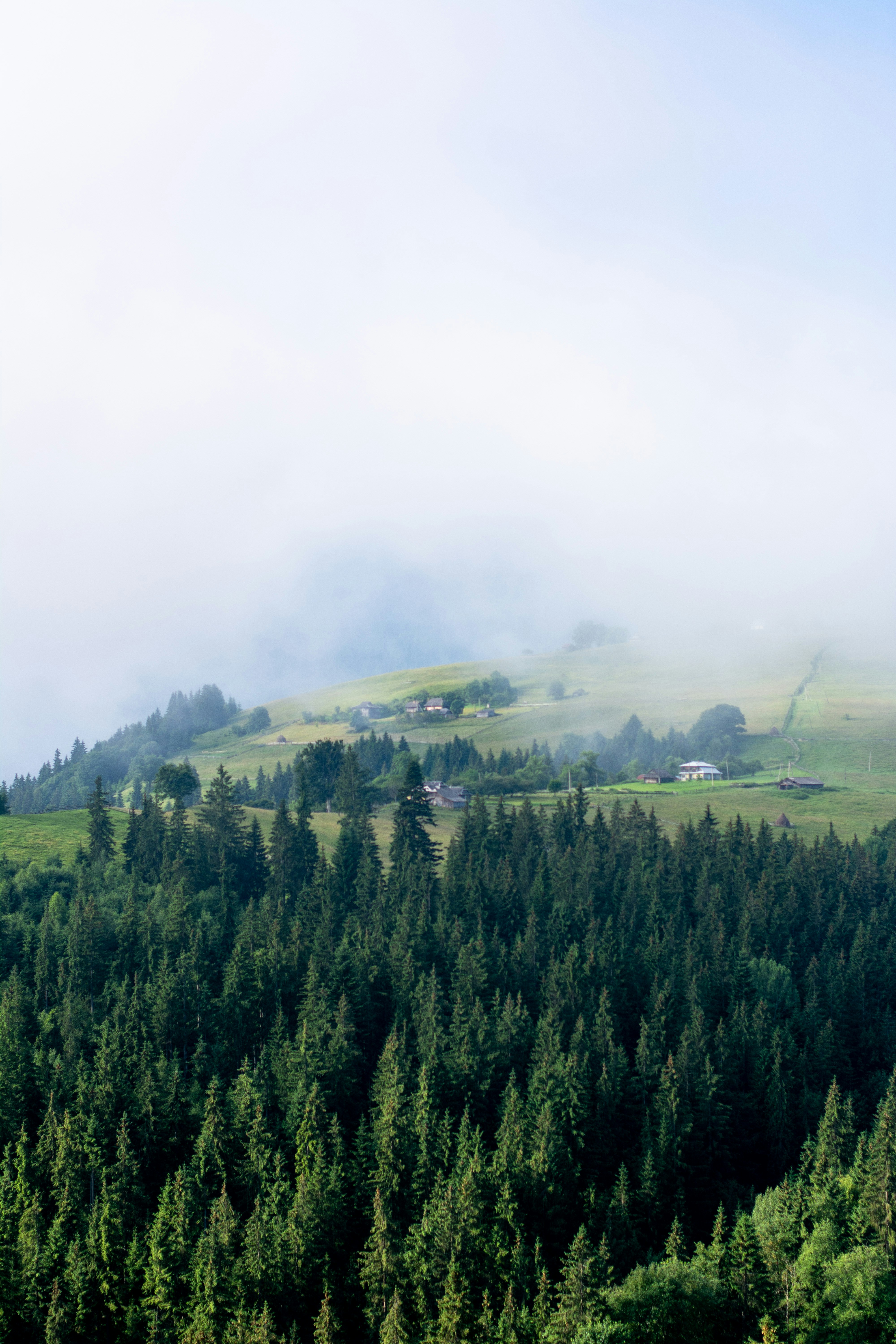 Photo by eugenivy_now