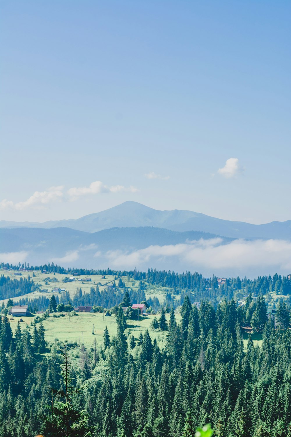 Blick auf ein Tal mit Bäumen und Bergen im Hintergrund