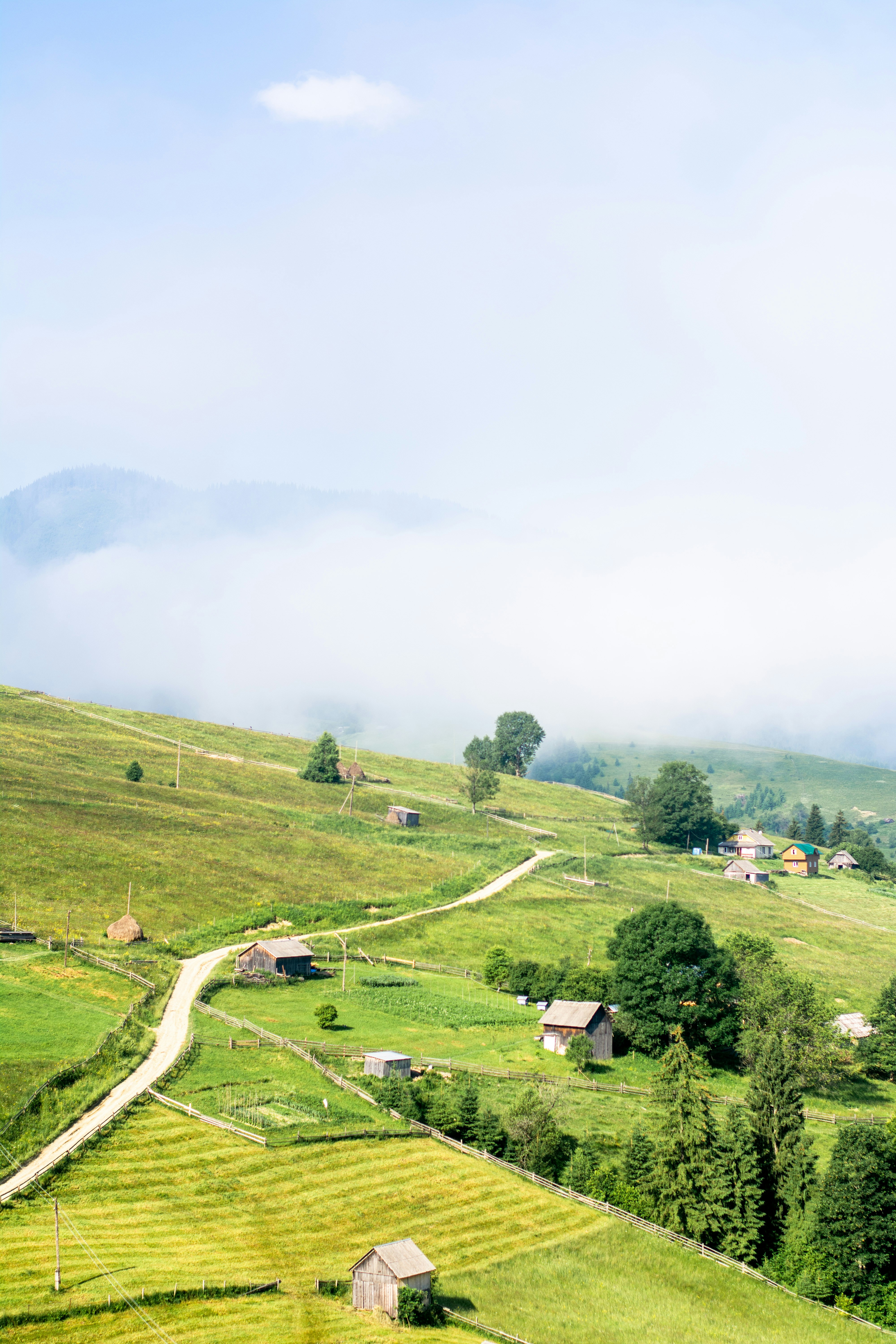 Photo by eugenivy_now