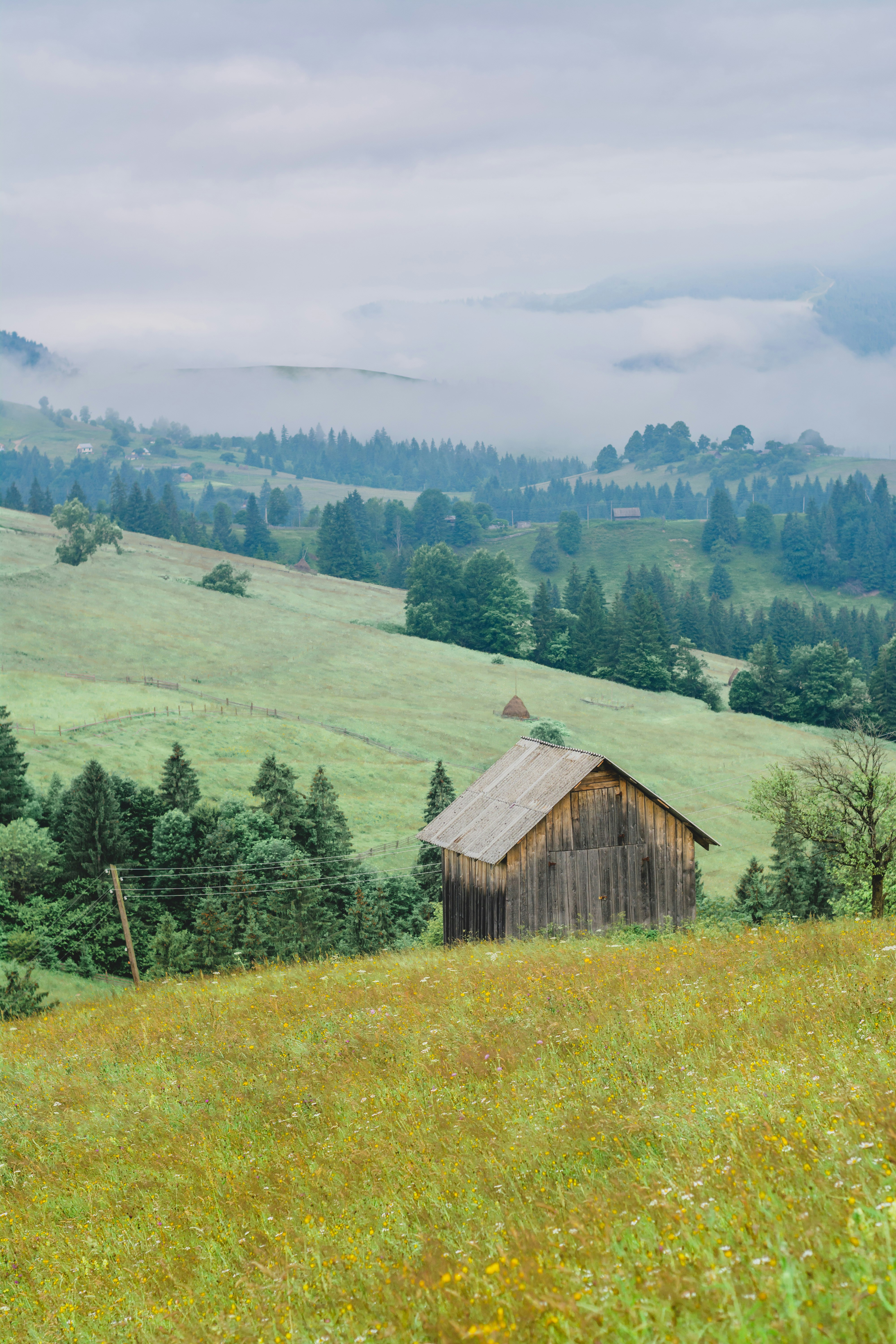 Photo by eugenivy_now