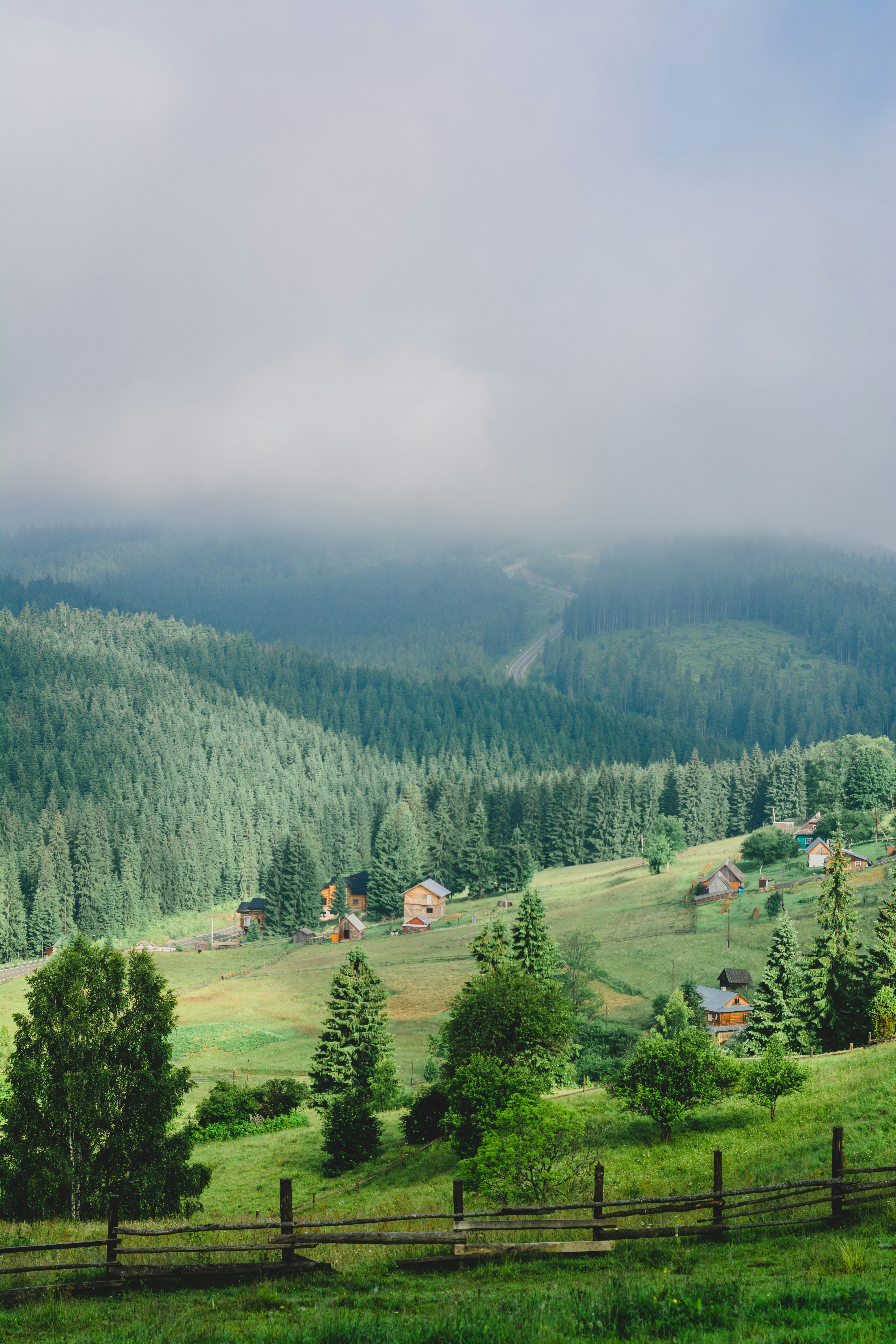 Photo by eugenivy_now