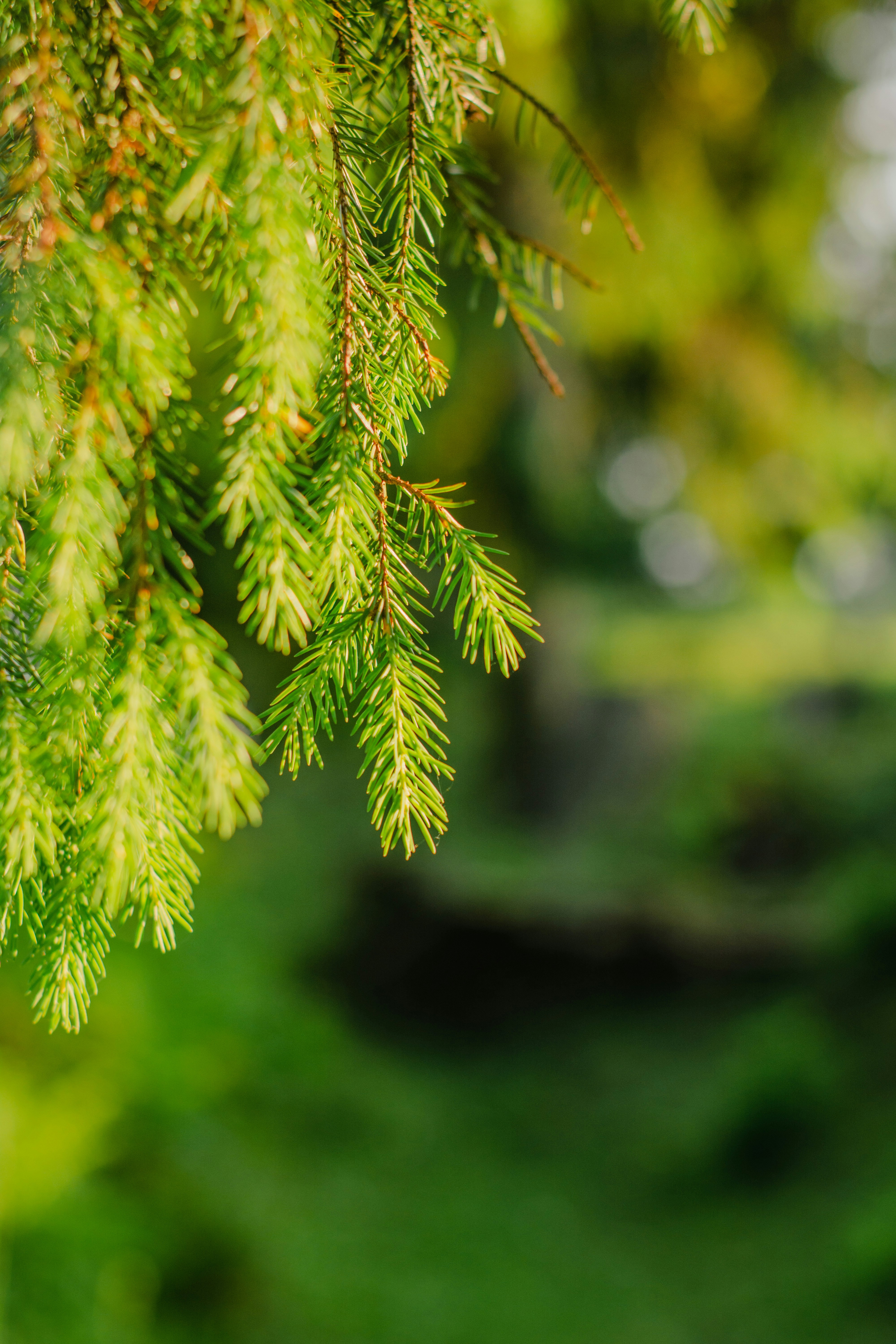 Photo by eugenivy_now