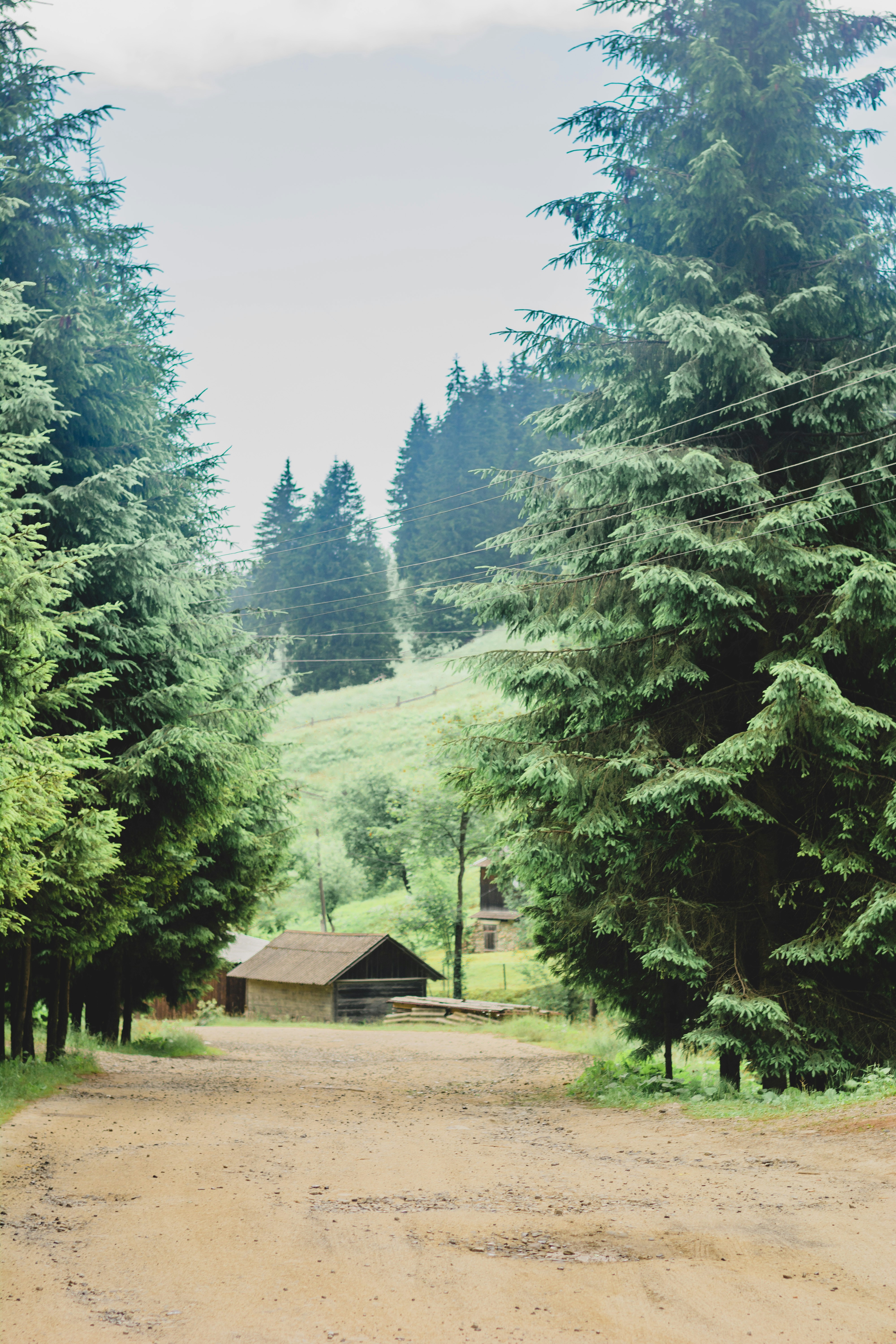 Photo by eugenivy_now