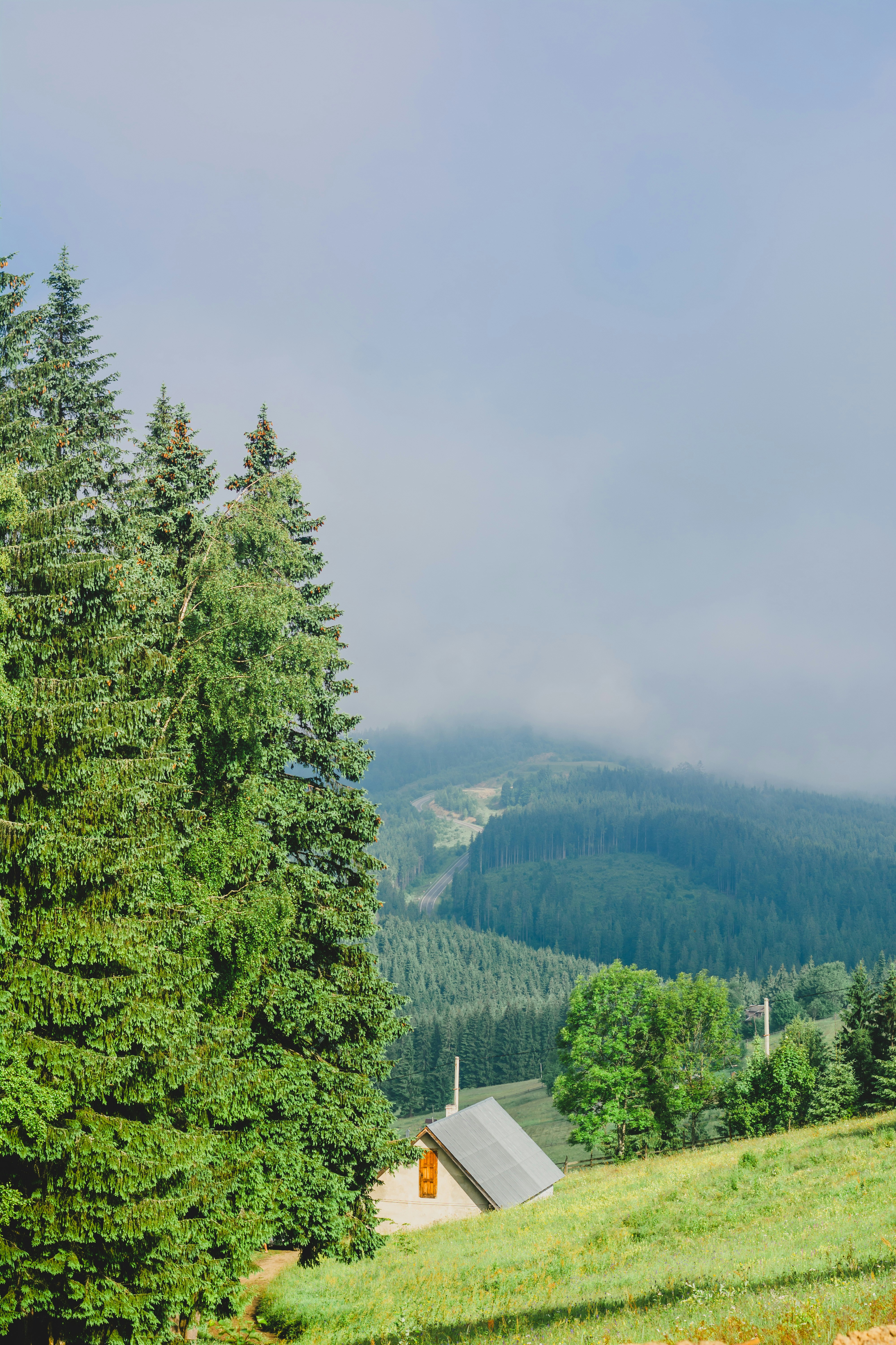 Photo by eugenivy_now