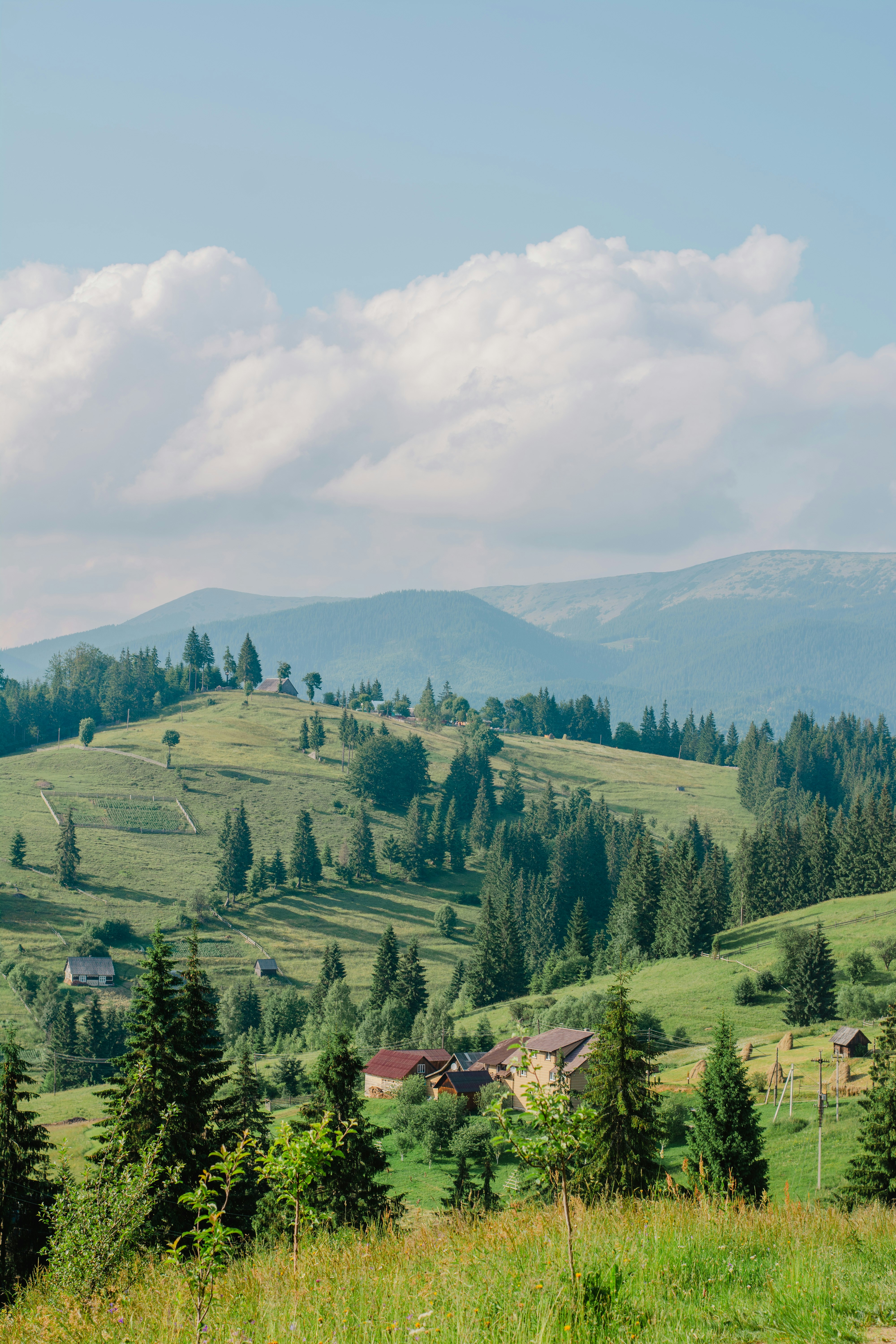 Photo by eugenivy_now