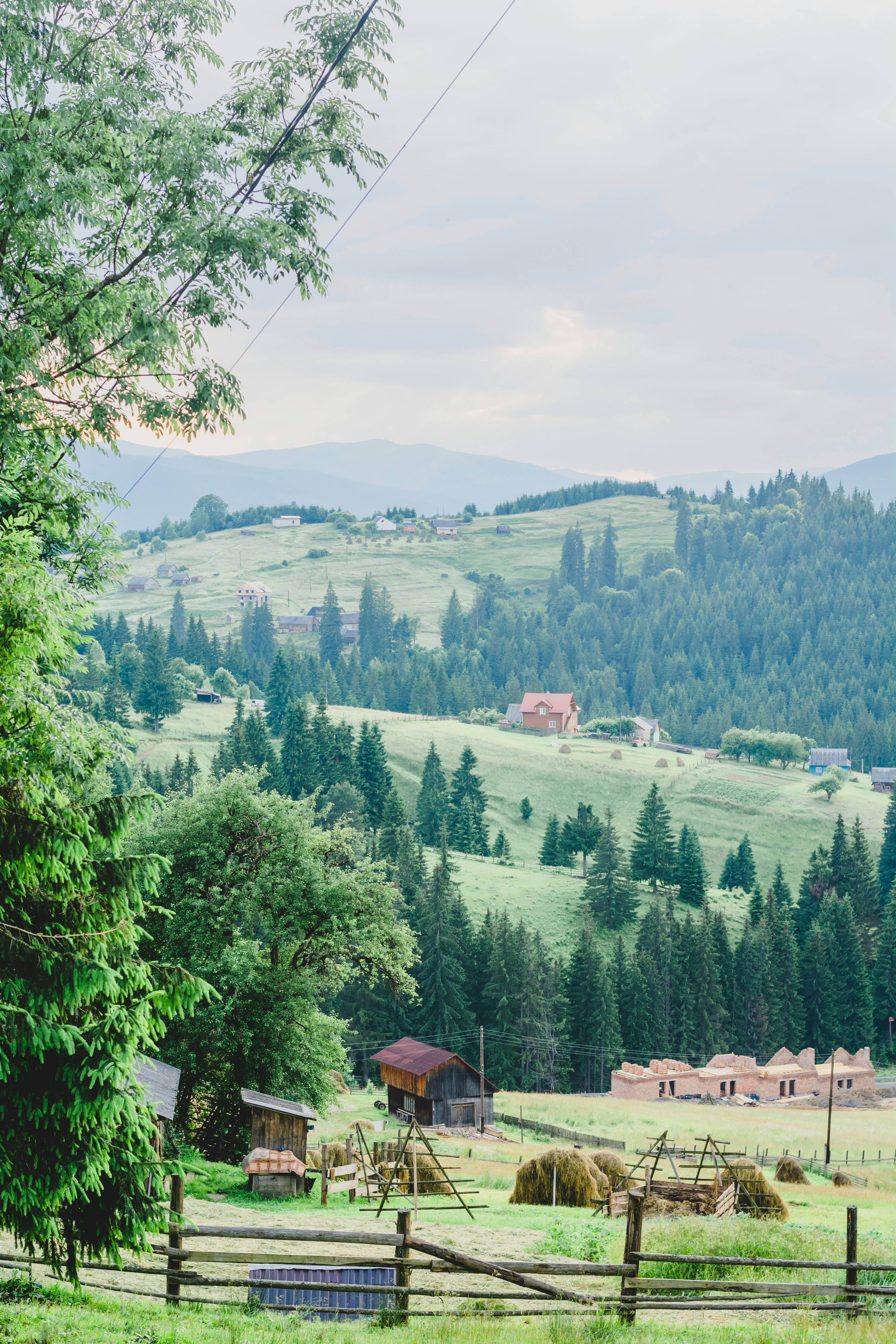 Photo by eugenivy_now