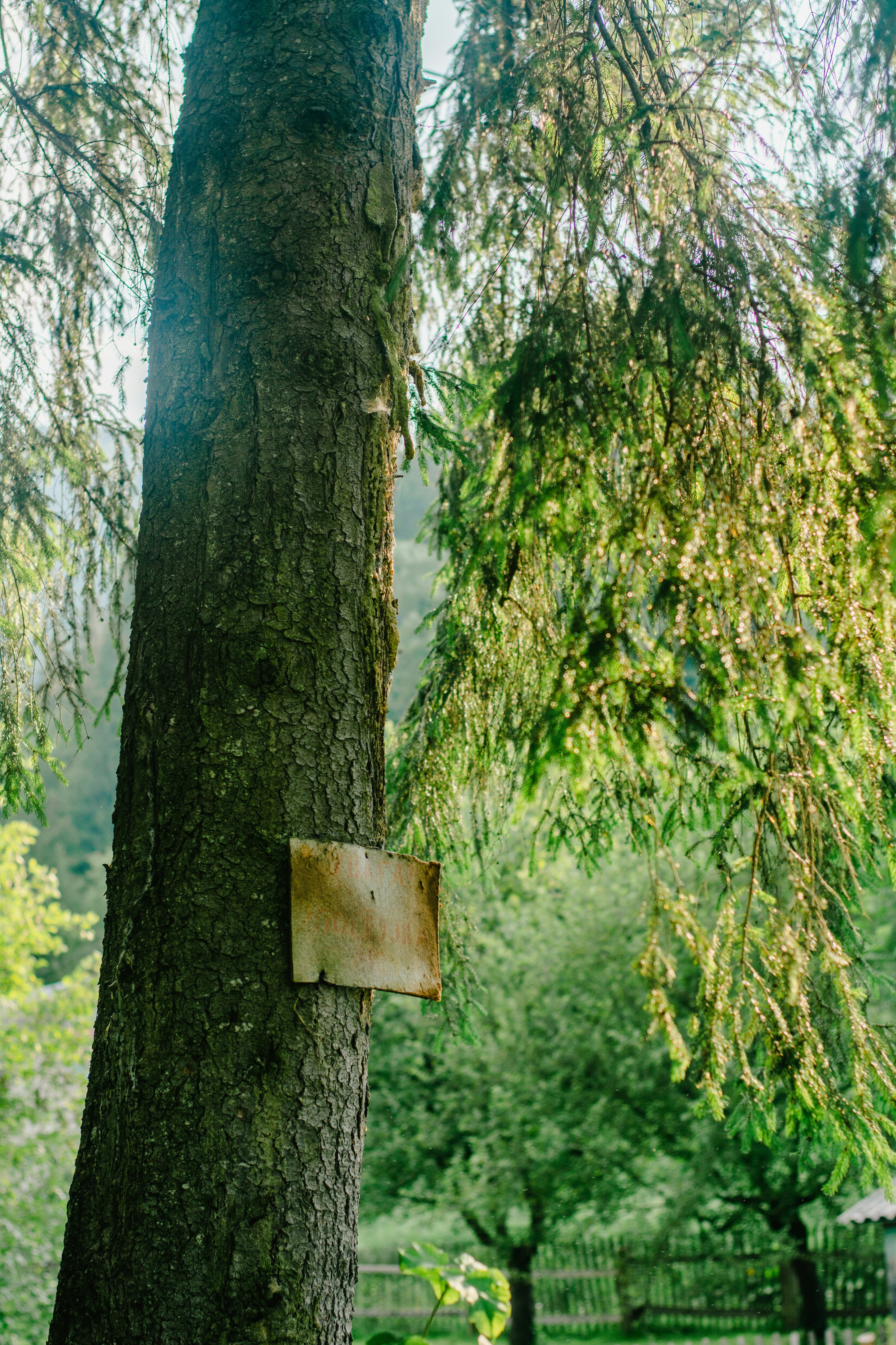 Photo by eugenivy_now