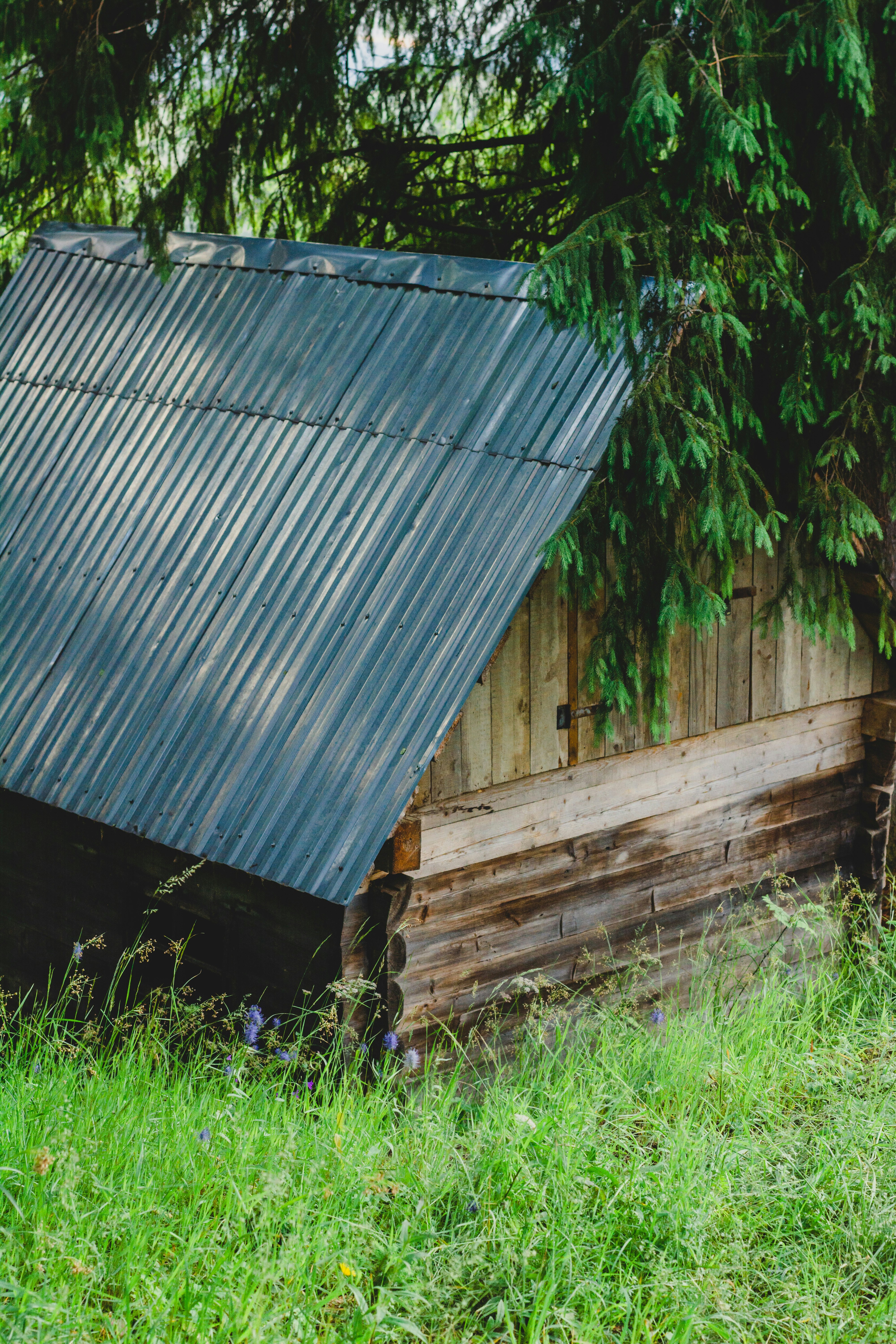 Photo by eugenivy_now