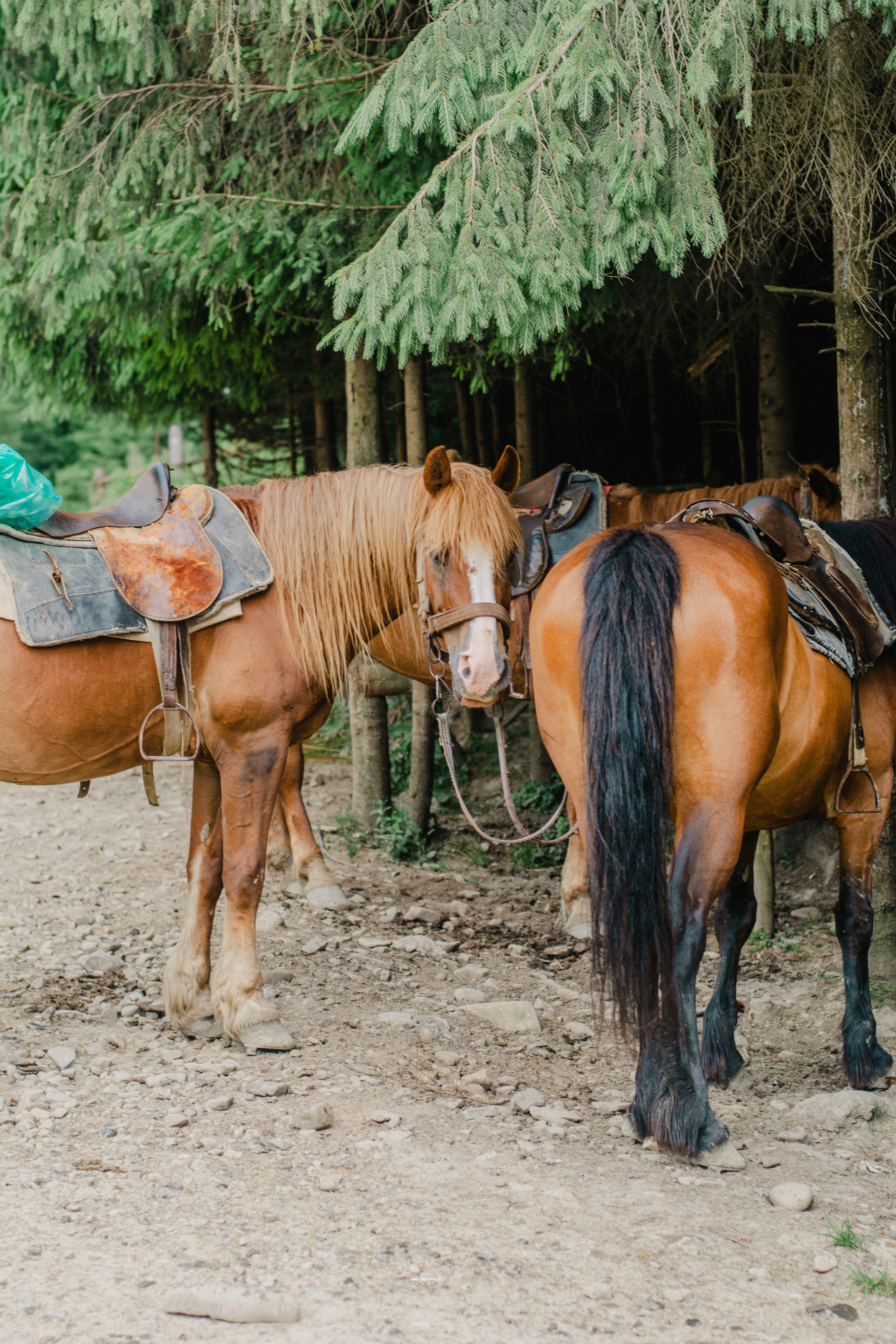 Photo by eugenivy_now