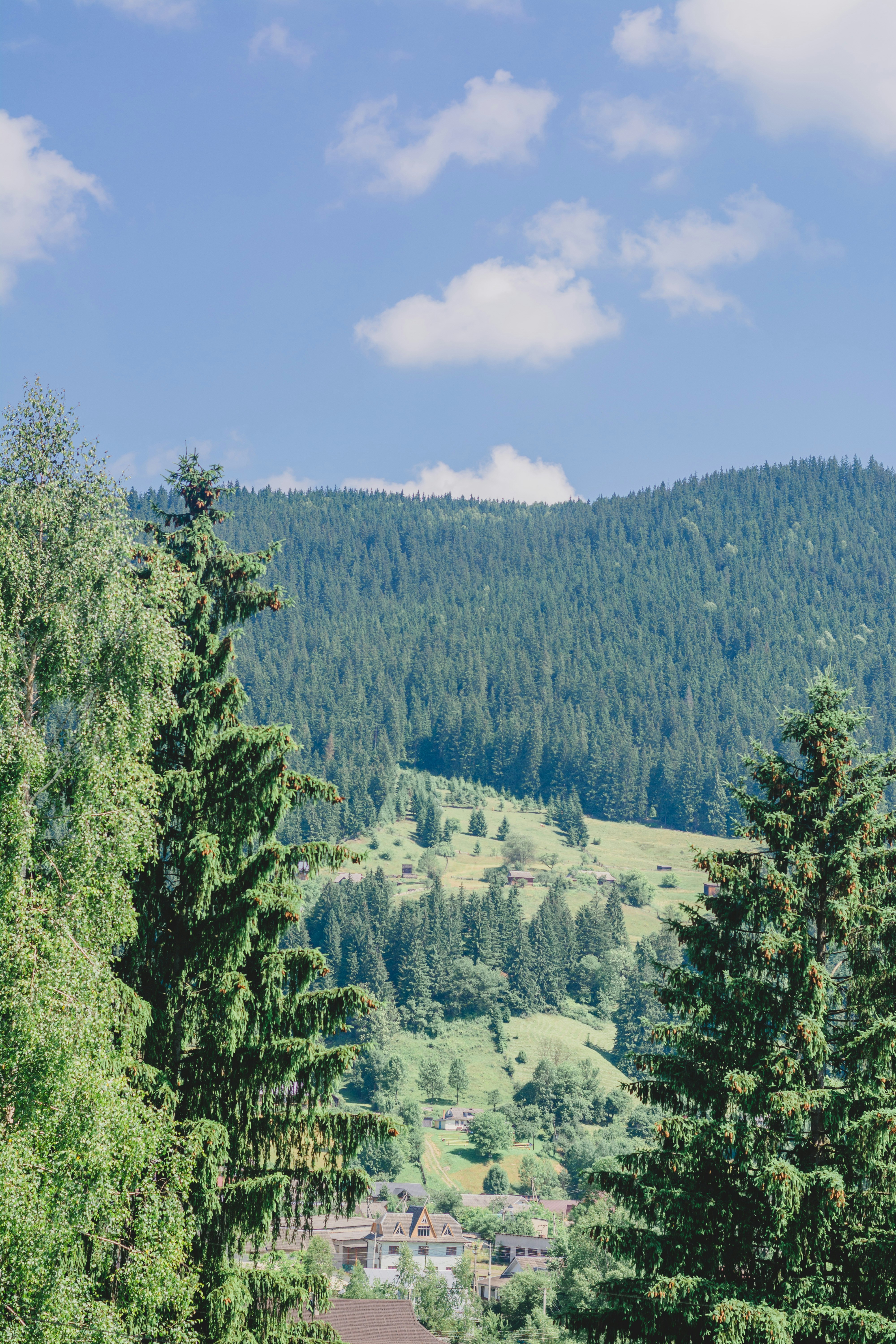 Photo by eugenivy_now