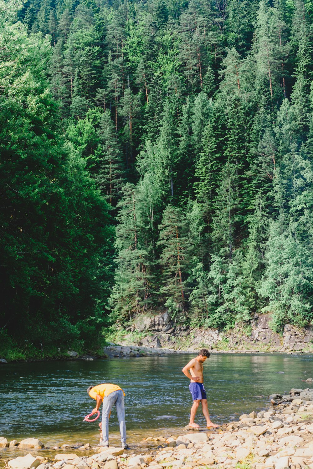 a couple of people standing on top of a river next to a forest