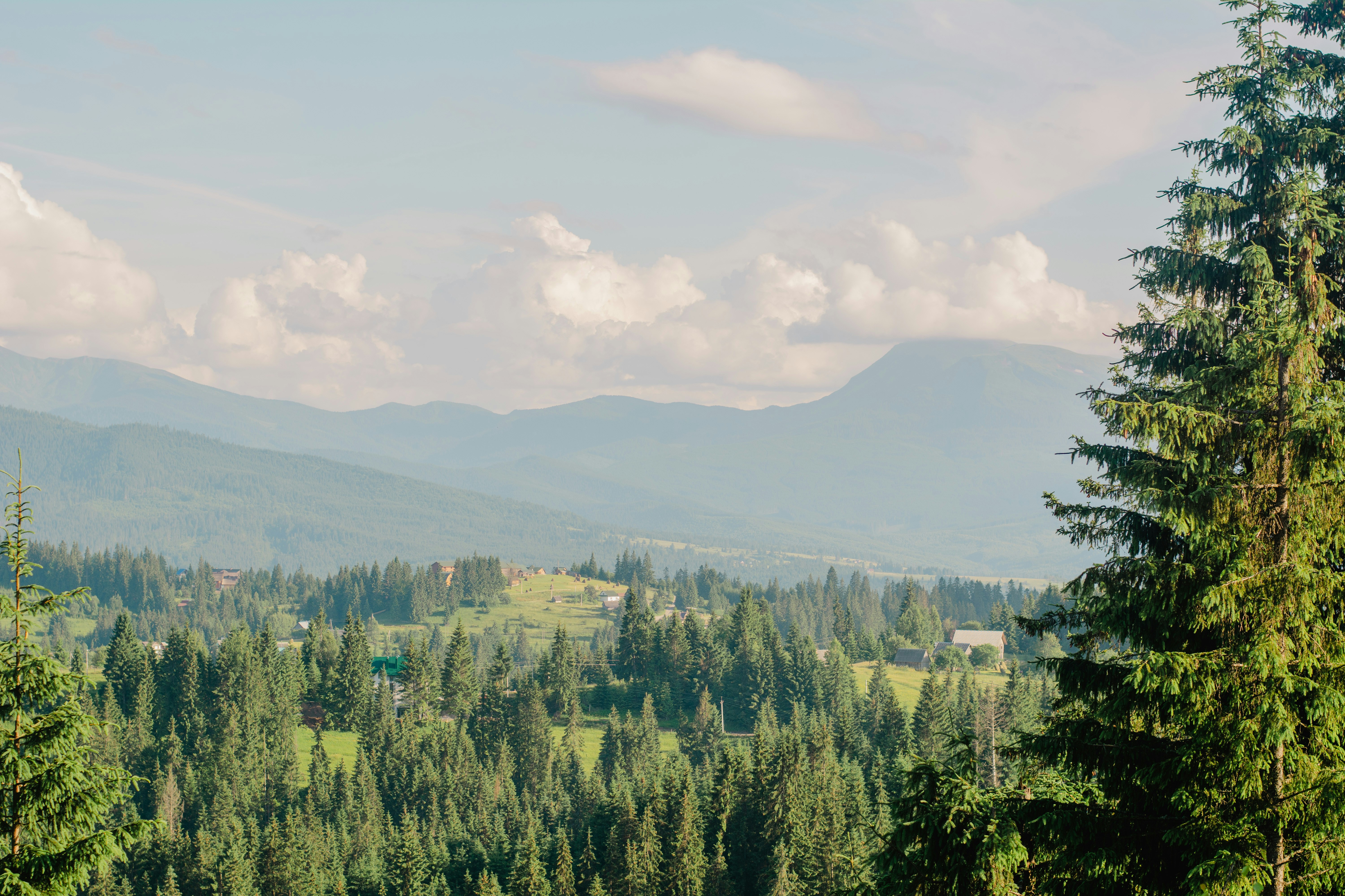 Photo by eugenivy_now