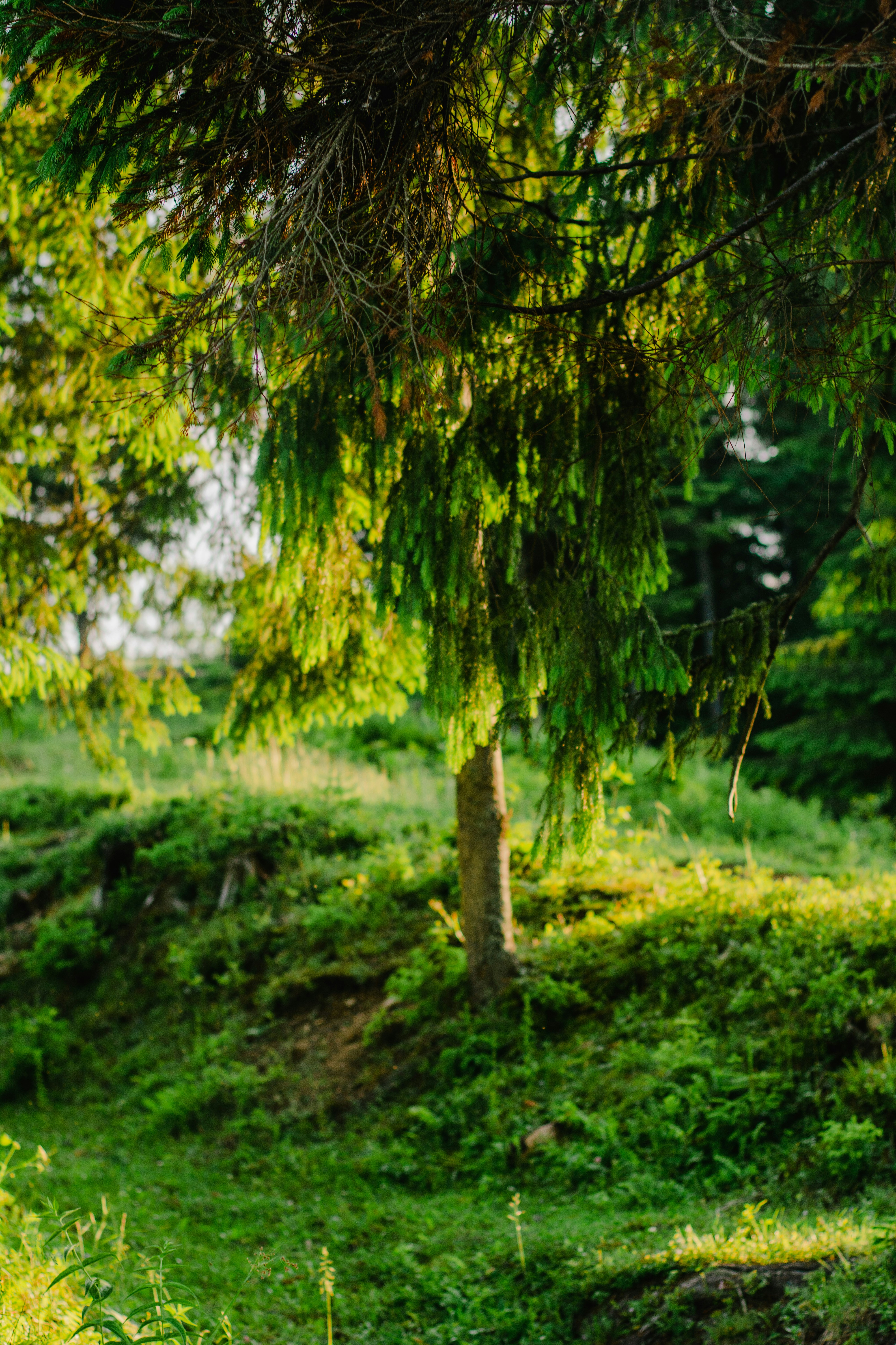 Photo by eugenivy_now