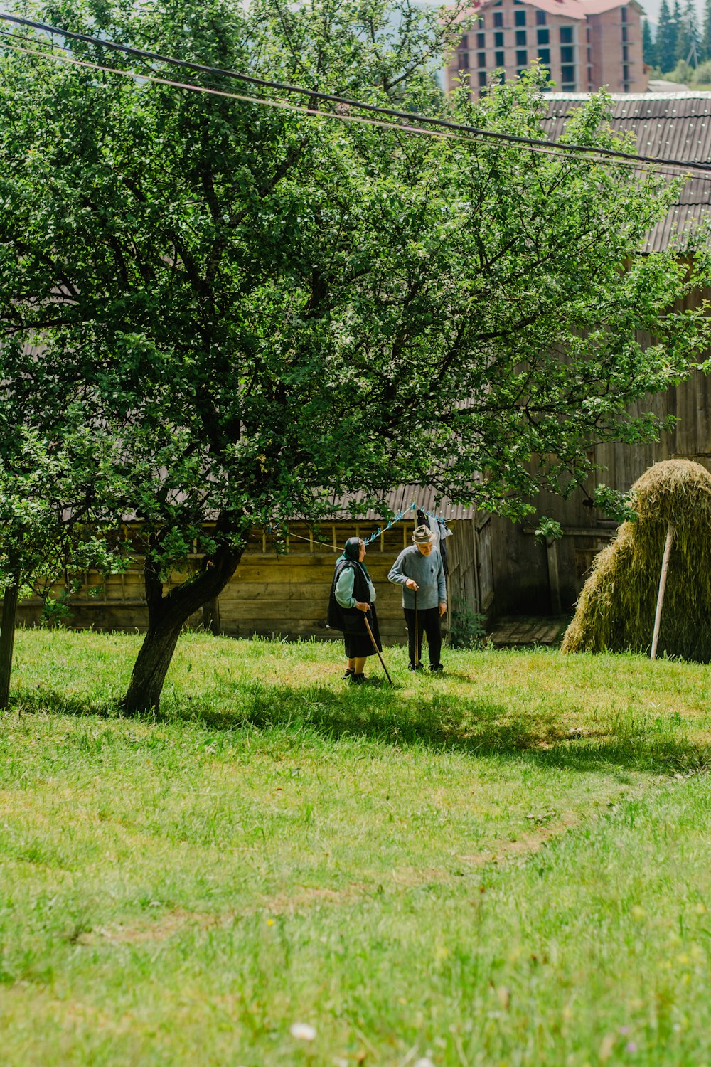 a couple of people that are standing in the grass