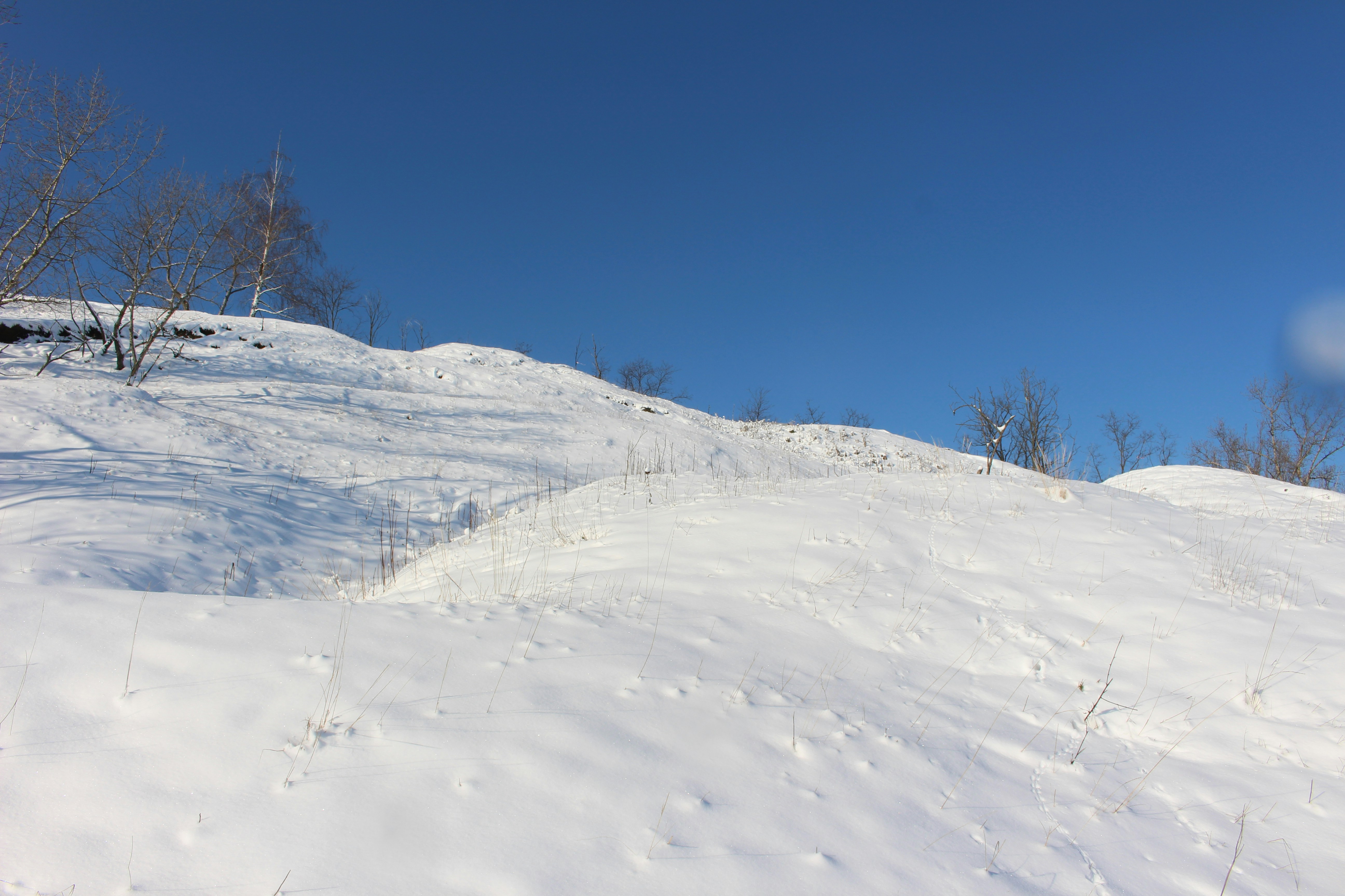 Photo by marjorylucabaxter