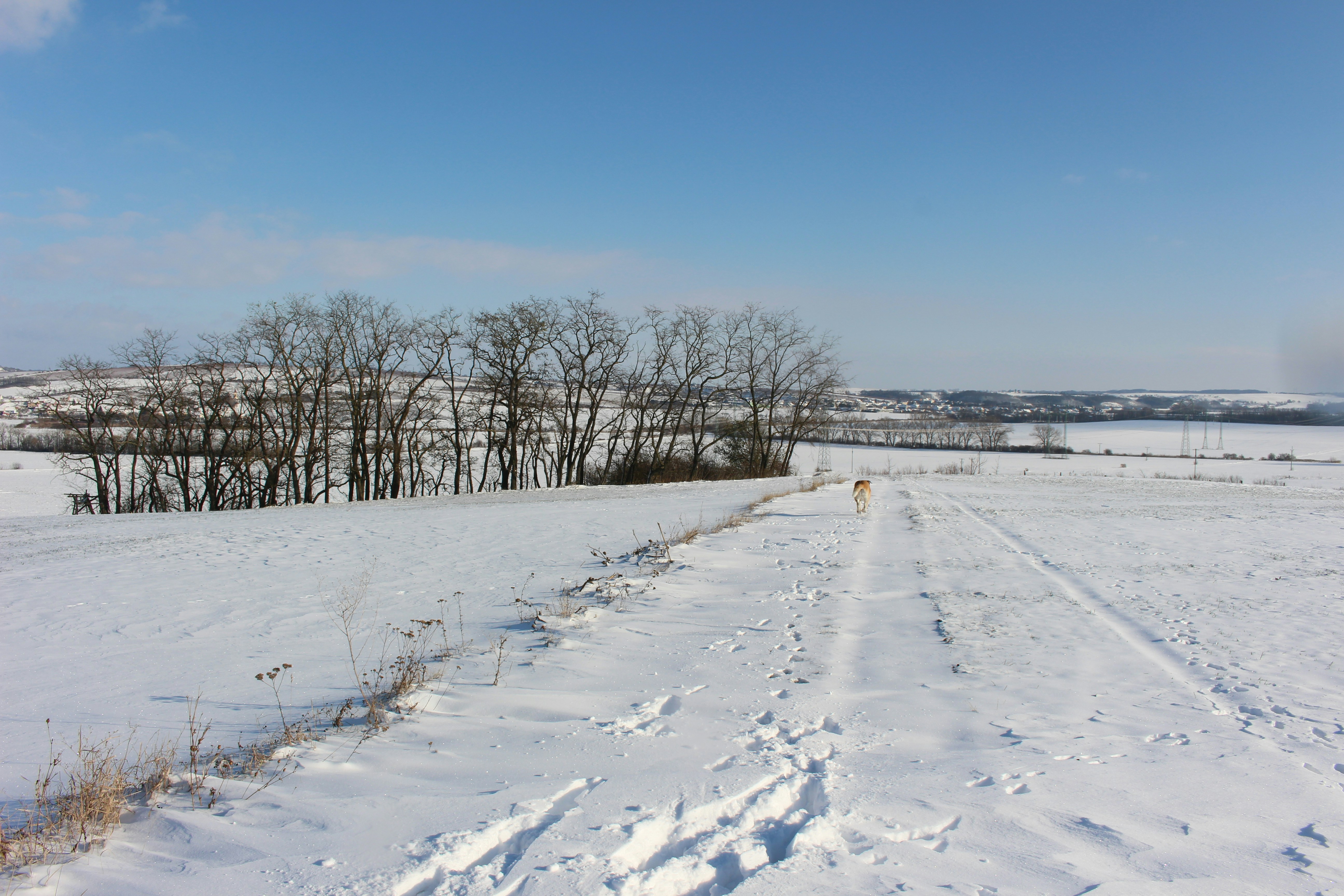 Photo by marjorylucabaxter