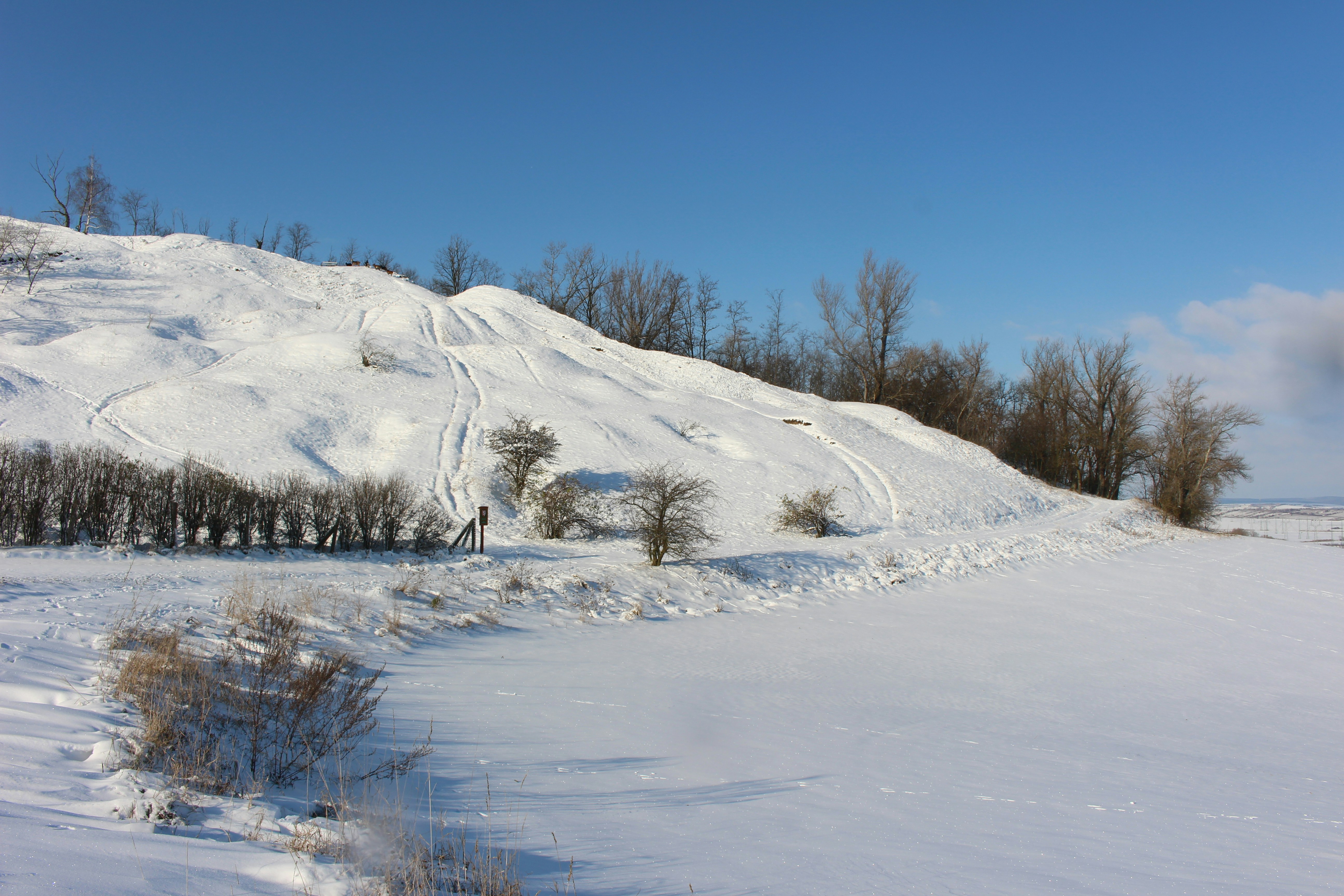 Photo by marjorylucabaxter