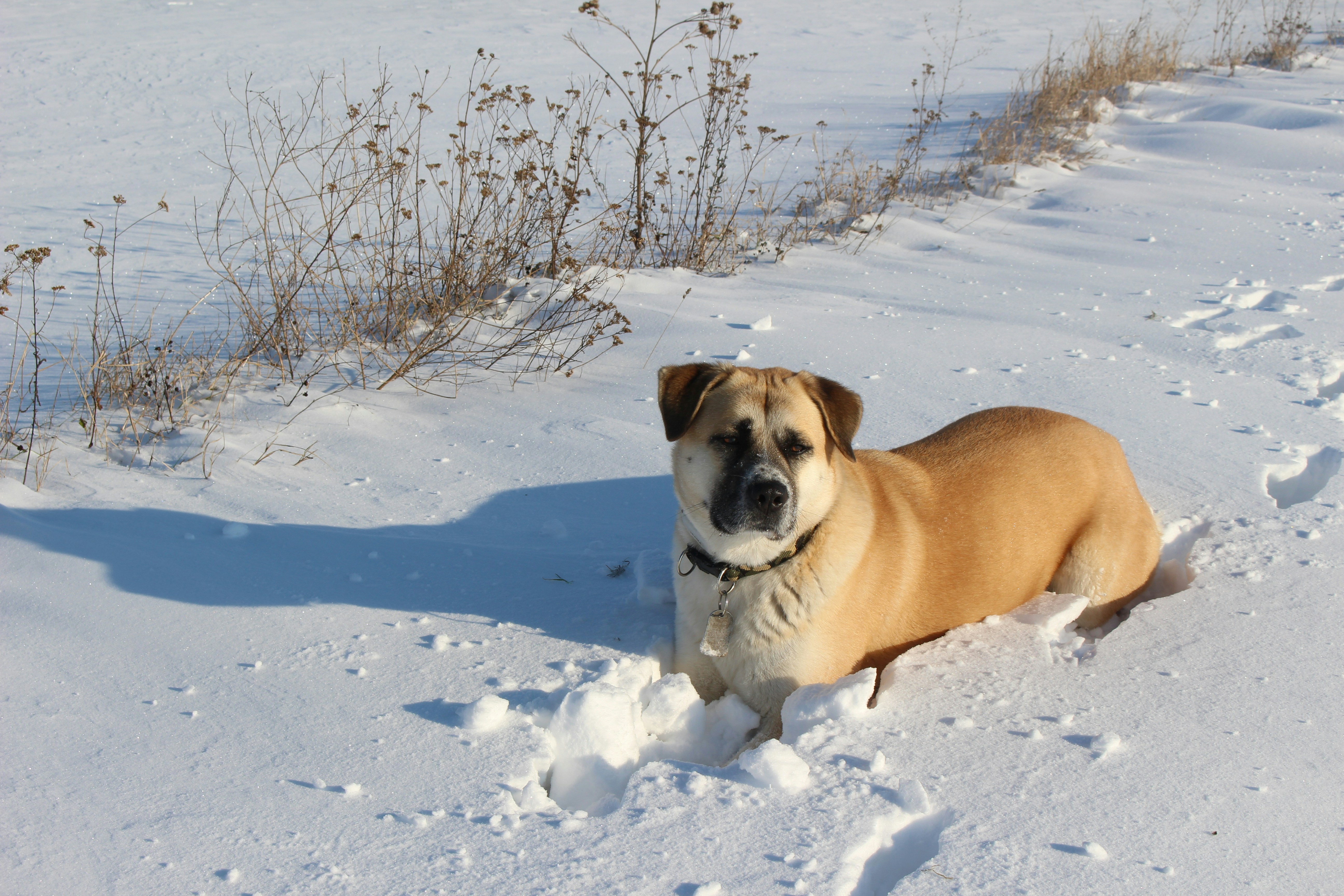 Photo by marjorylucabaxter