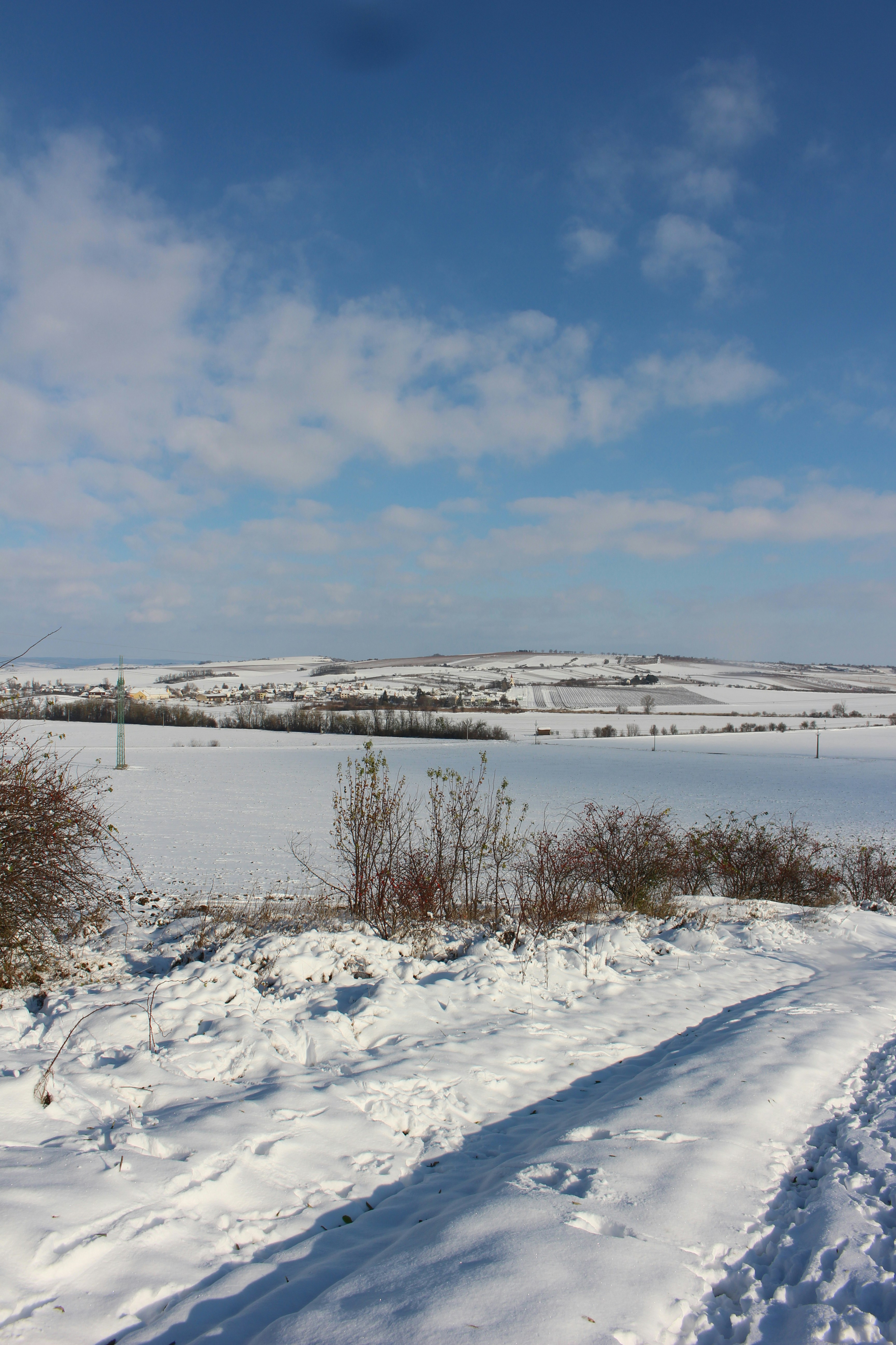 Photo by marjorylucabaxter