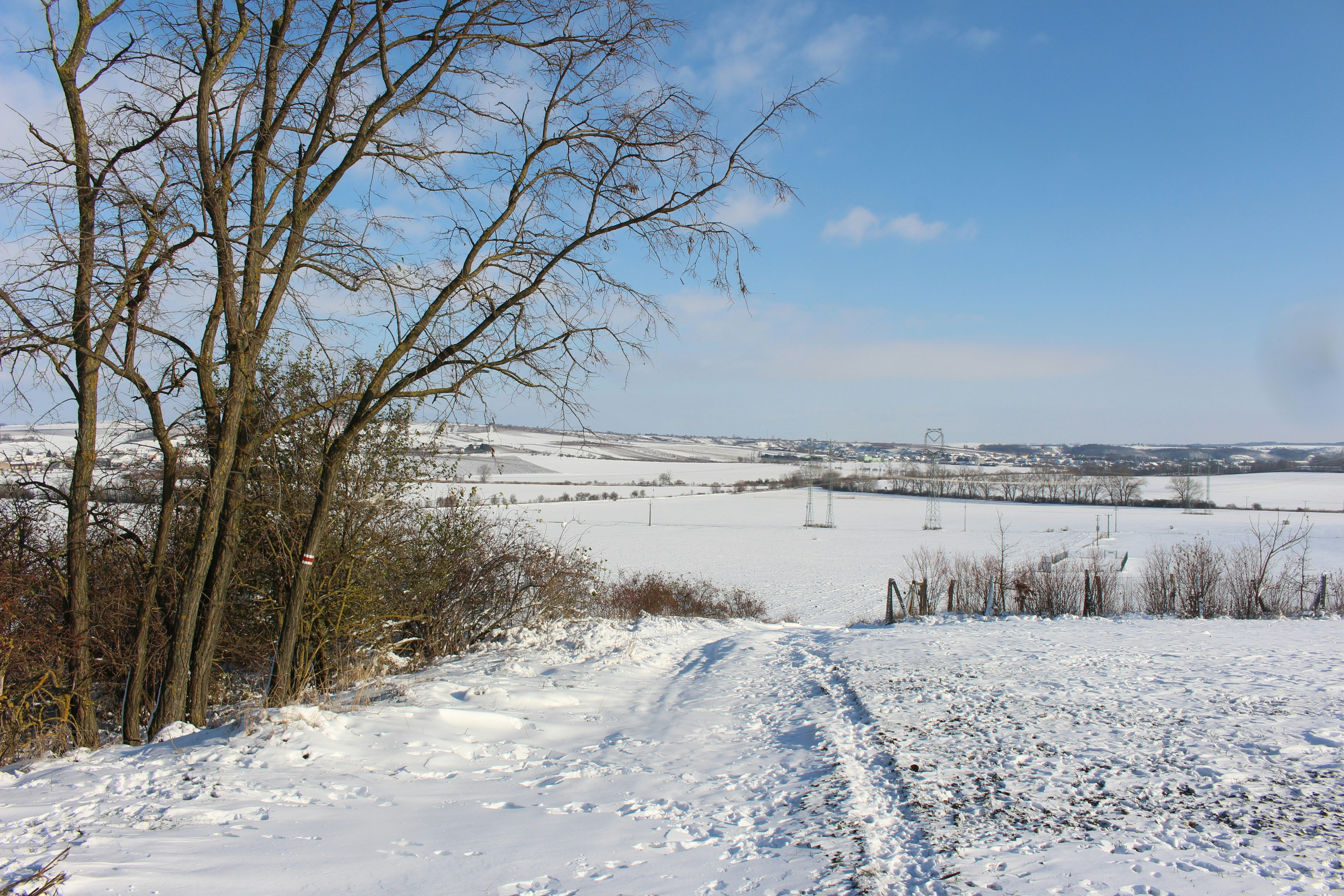 Photo by marjorylucabaxter