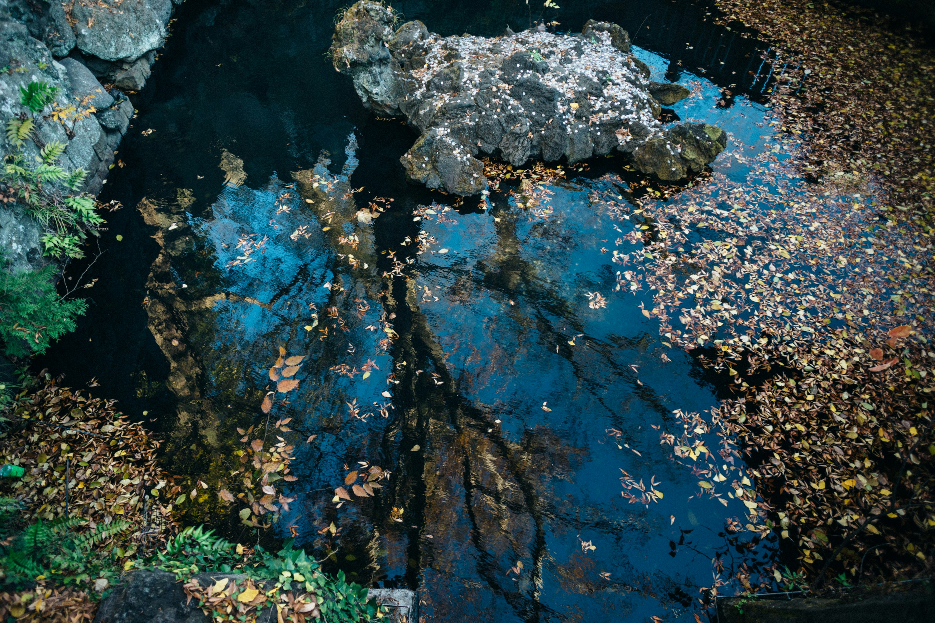 Photo by tsuyoshikozu