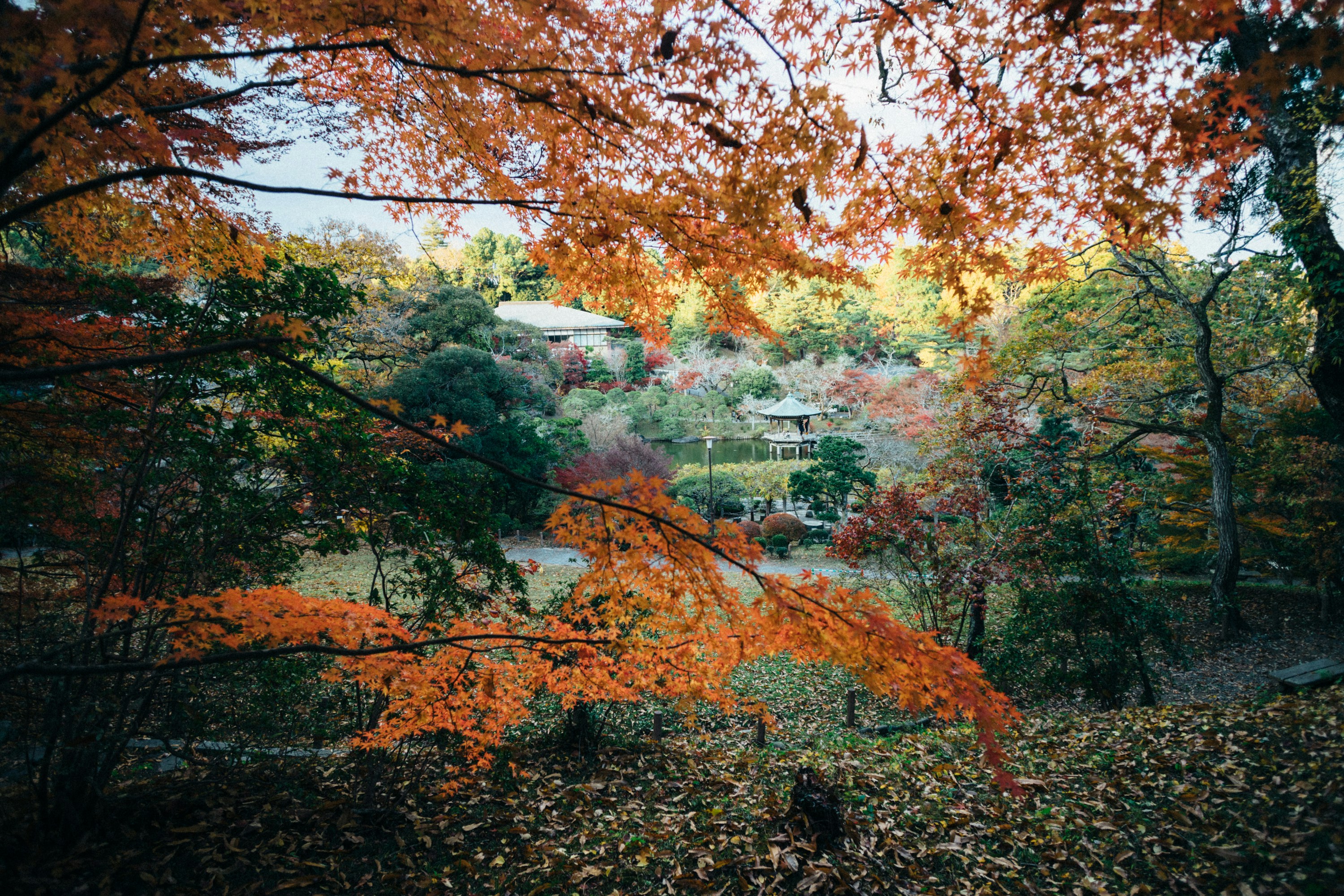 Photo by tsuyoshikozu