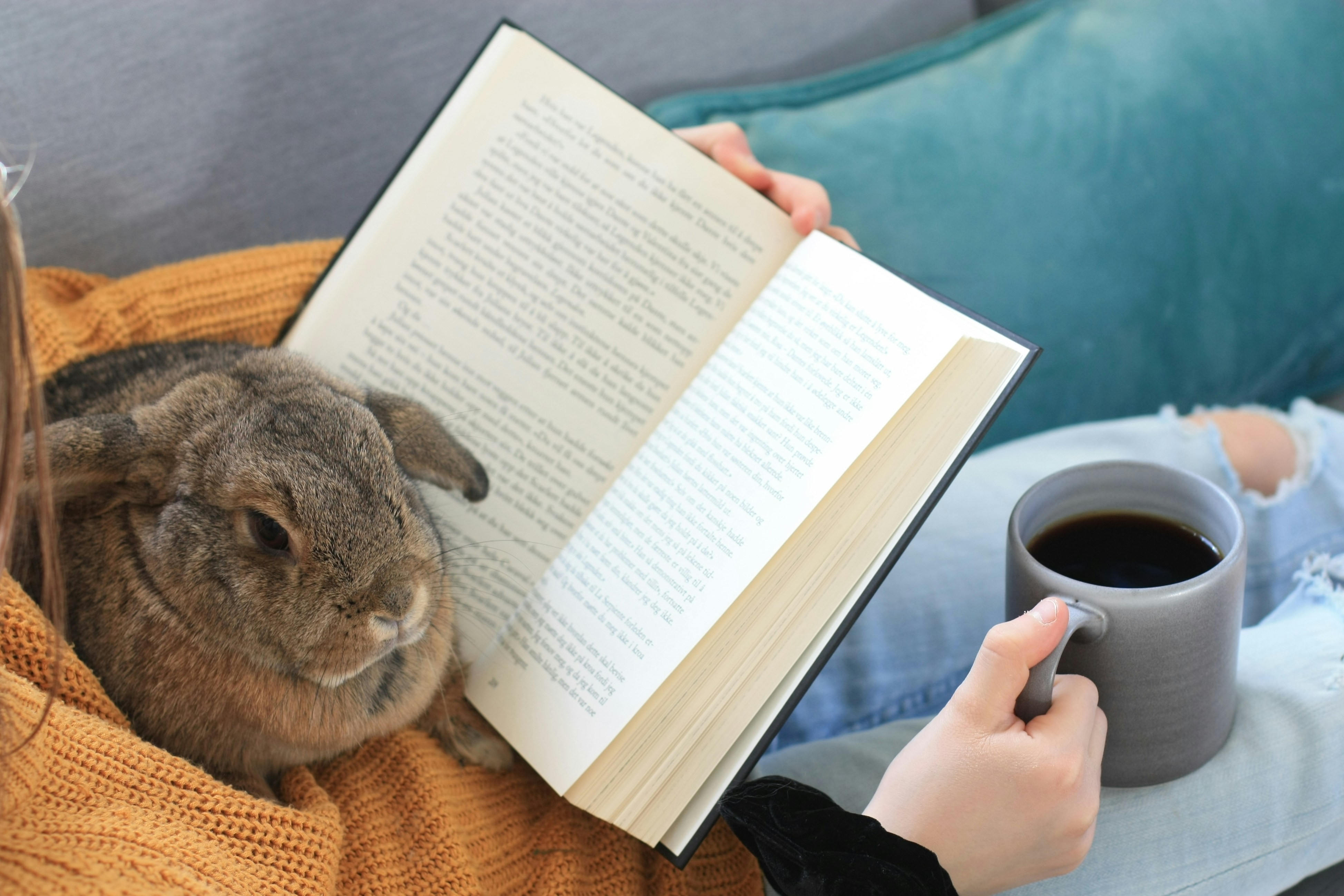 בלוג ומאמרים