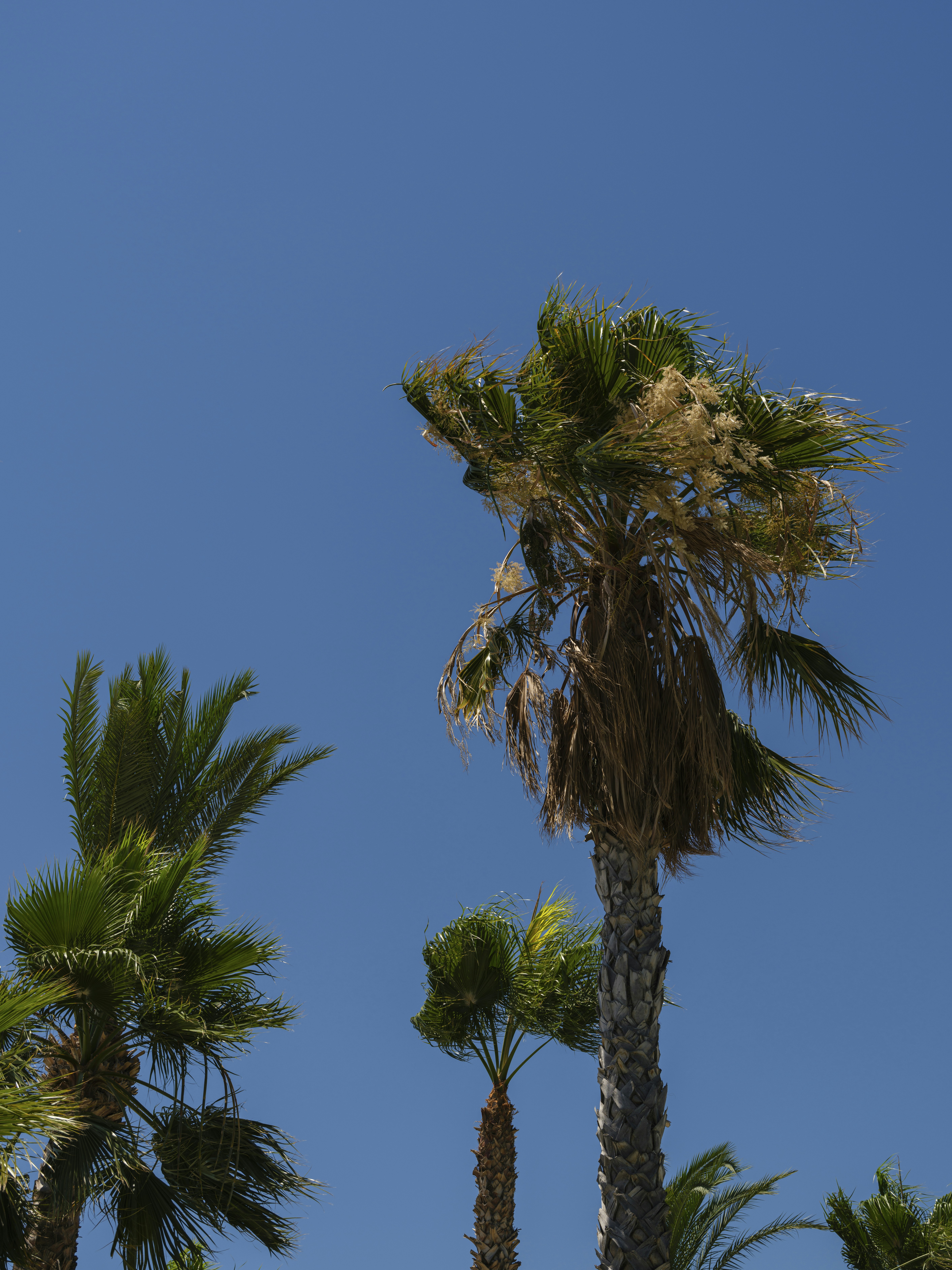 Photo by enginakyurt