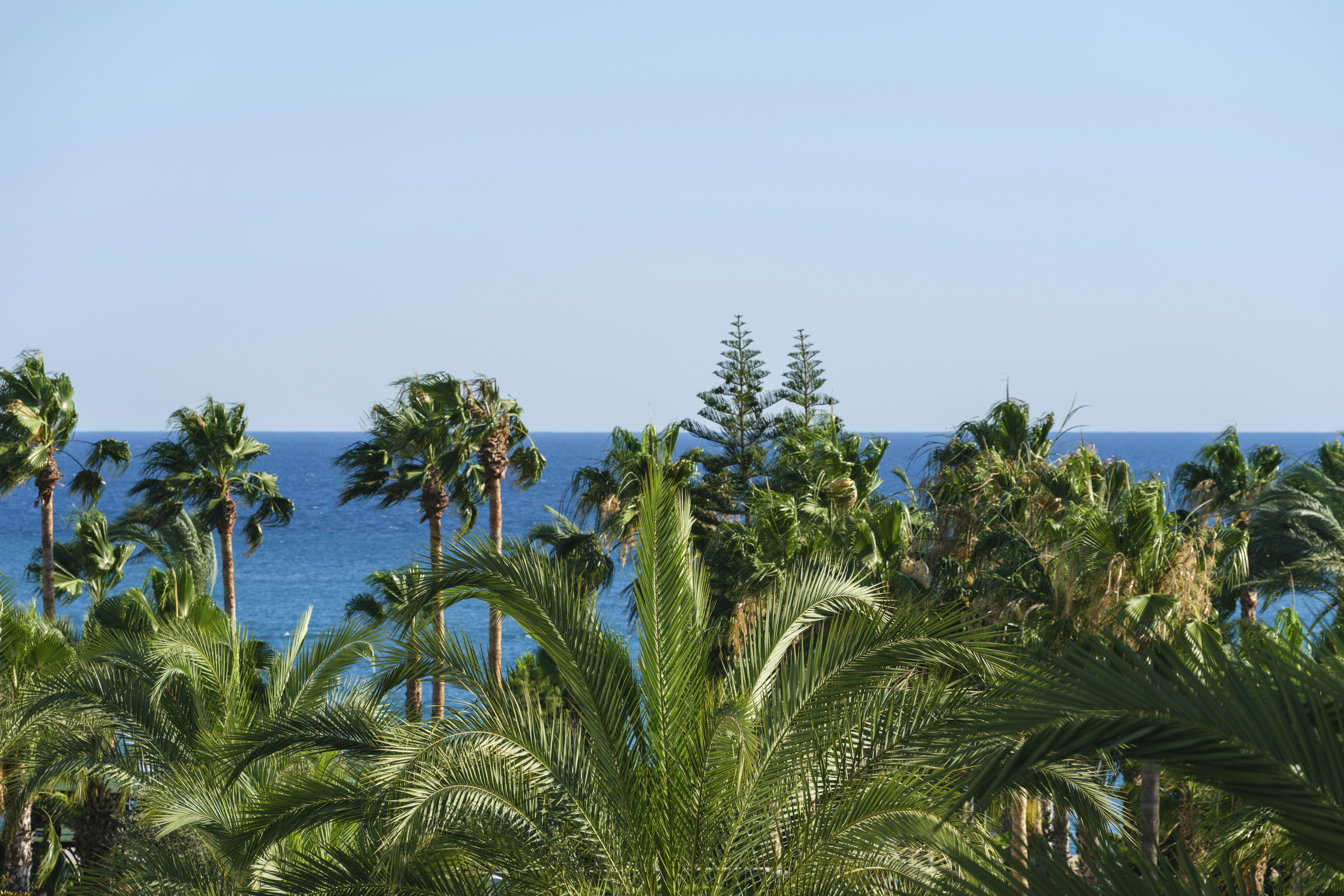 Photo by enginakyurt