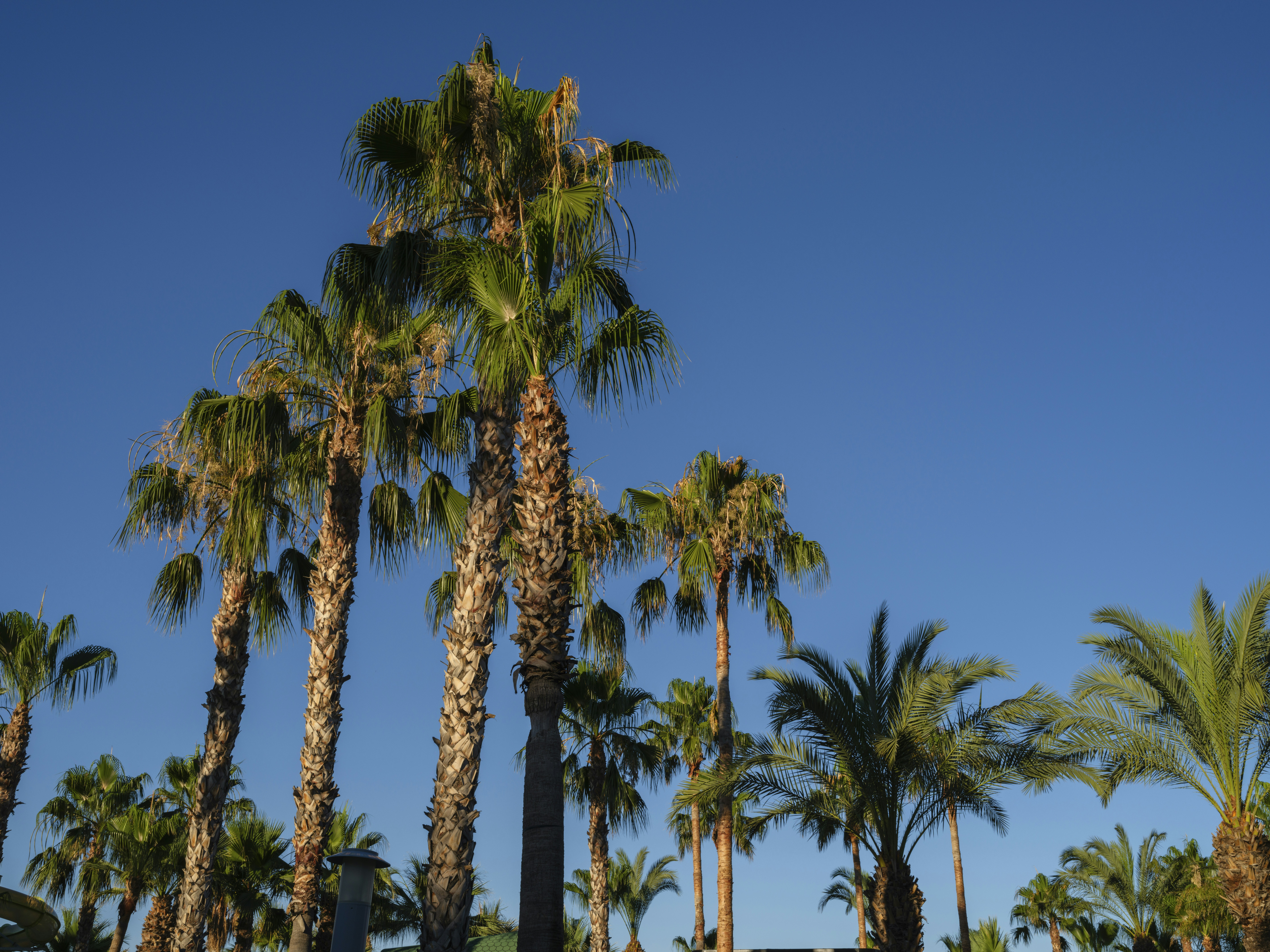 Photo by enginakyurt