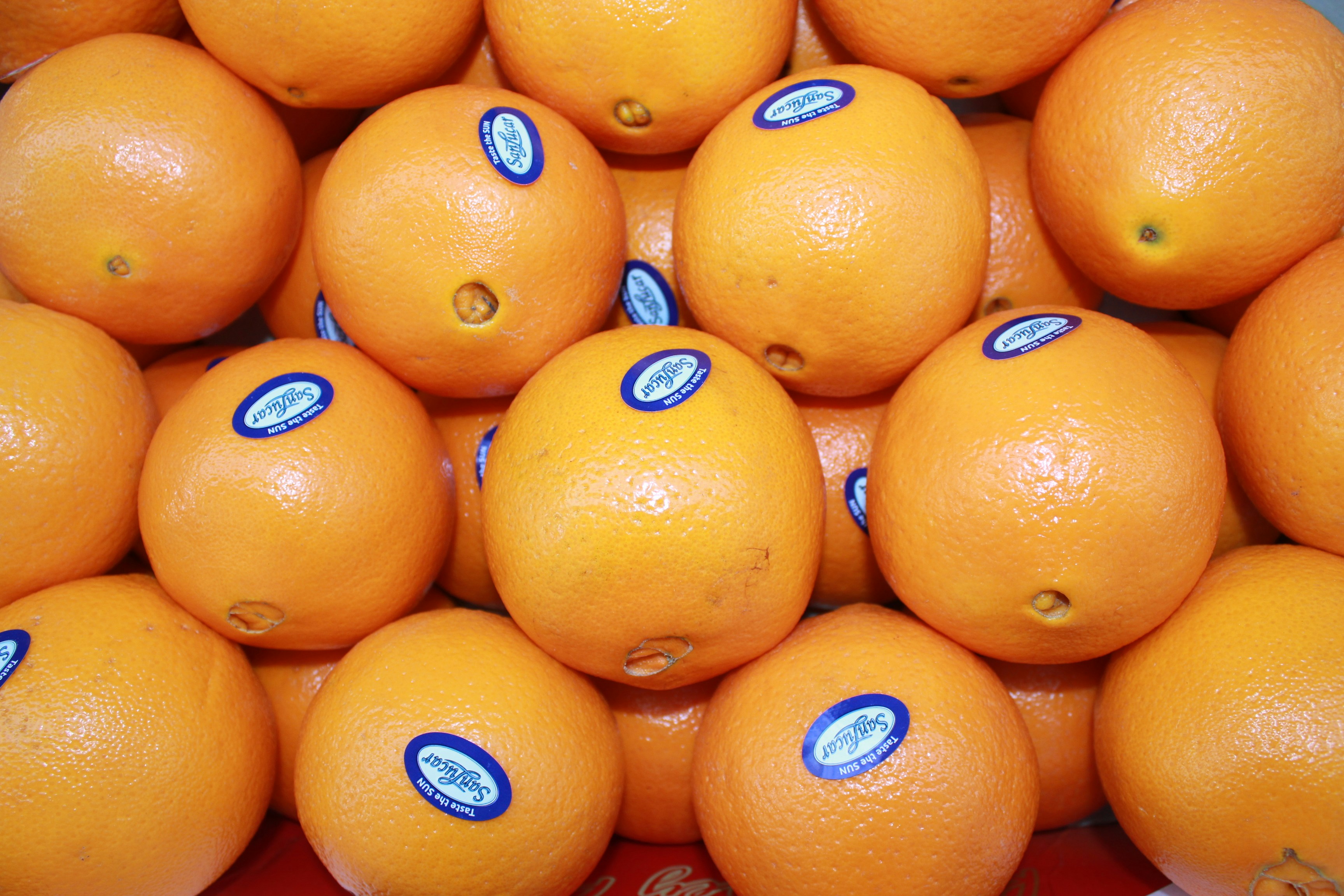 Photo by dareartworks