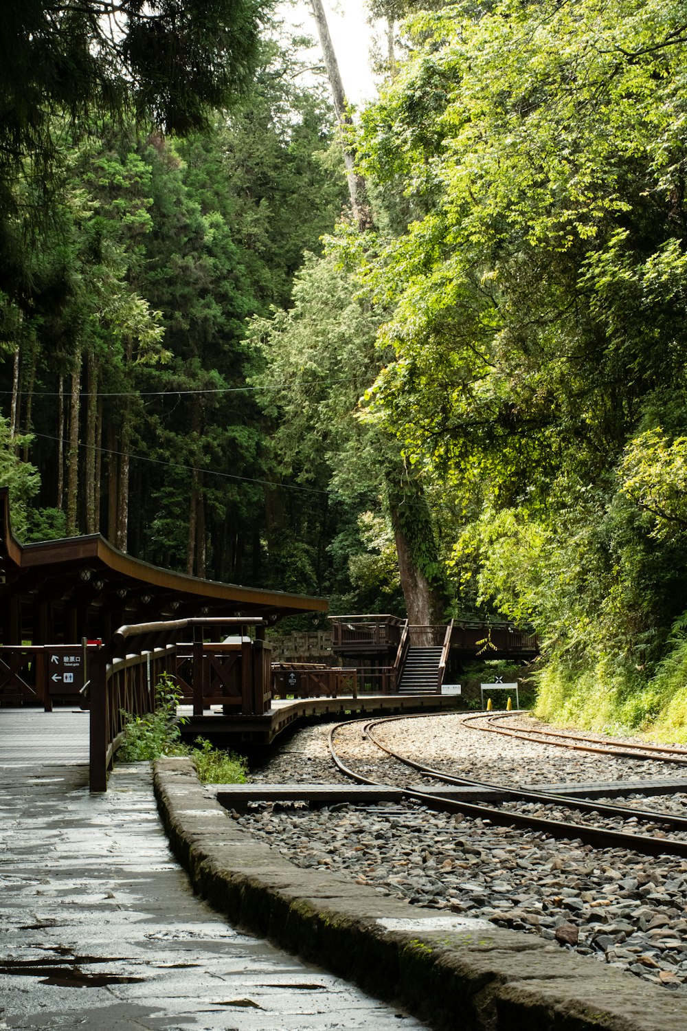 a train track in the middle of a forest