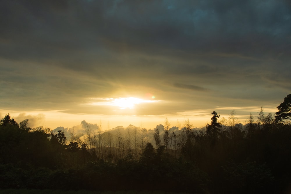 the sun is setting over the trees in the distance