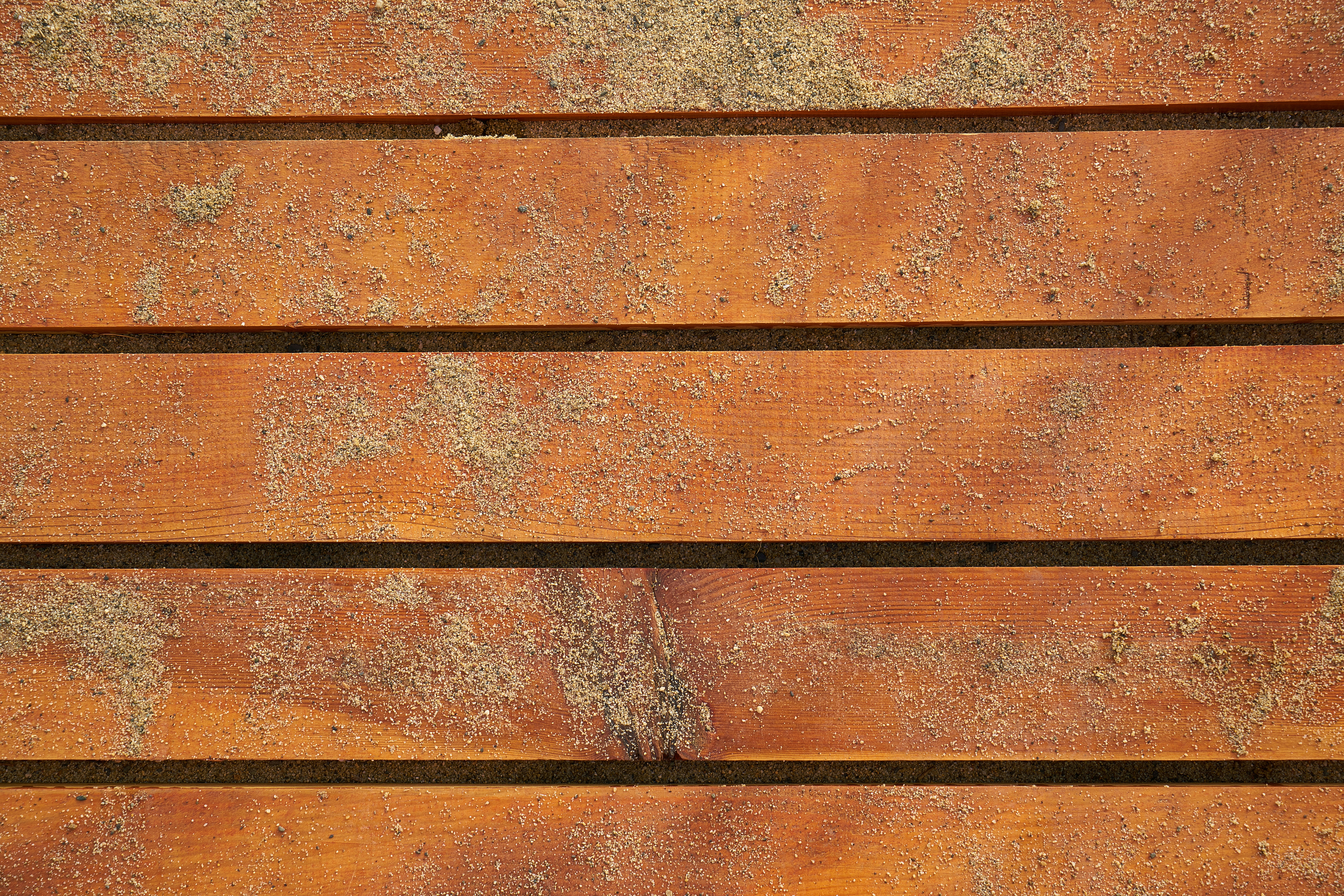 Photo by enginakyurt