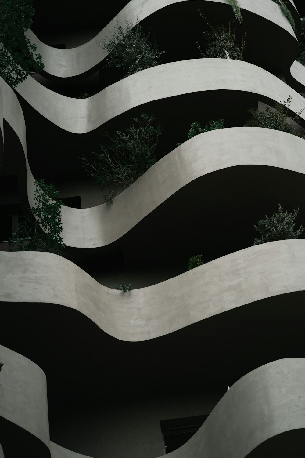 a black and white photo of a building