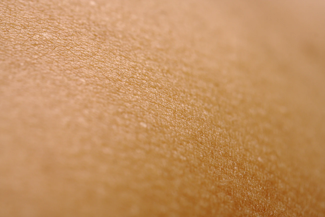 True macro close-up of skin surface texture showing natural pores in fine detail, representing the pore, texture and scar concerns in this category