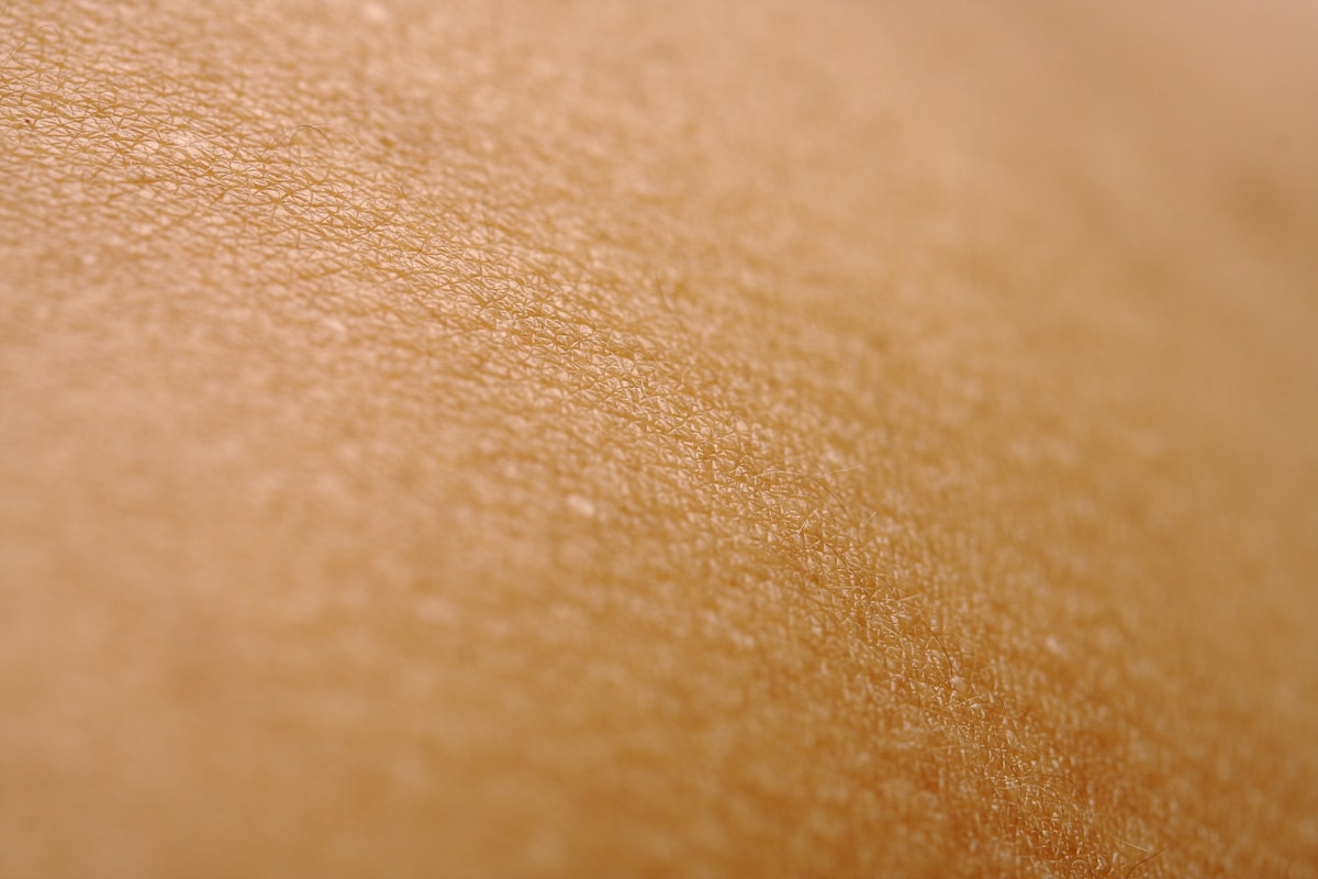 A close-up view of the texture of a person's skin